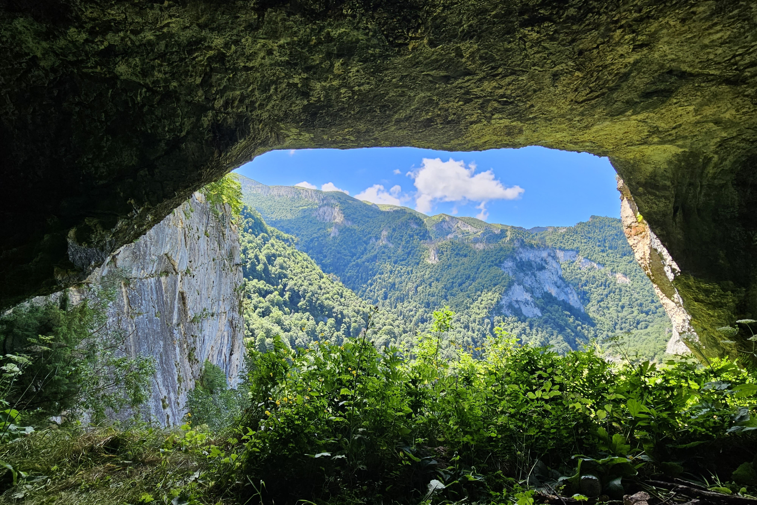 БОЛЬШОЙ ТХАЧ. Любовь Моргасова [LU SPRING]: Фотограф и куратор