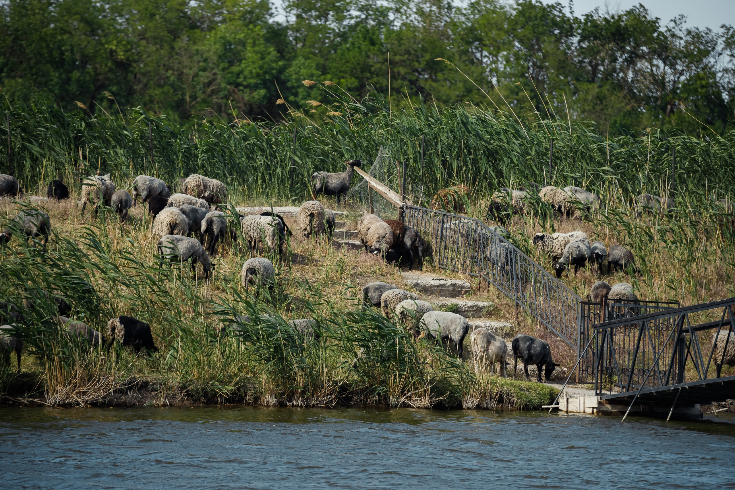 Полине 6 лет. Фотограф Таганрог и Ростов-на-Дону