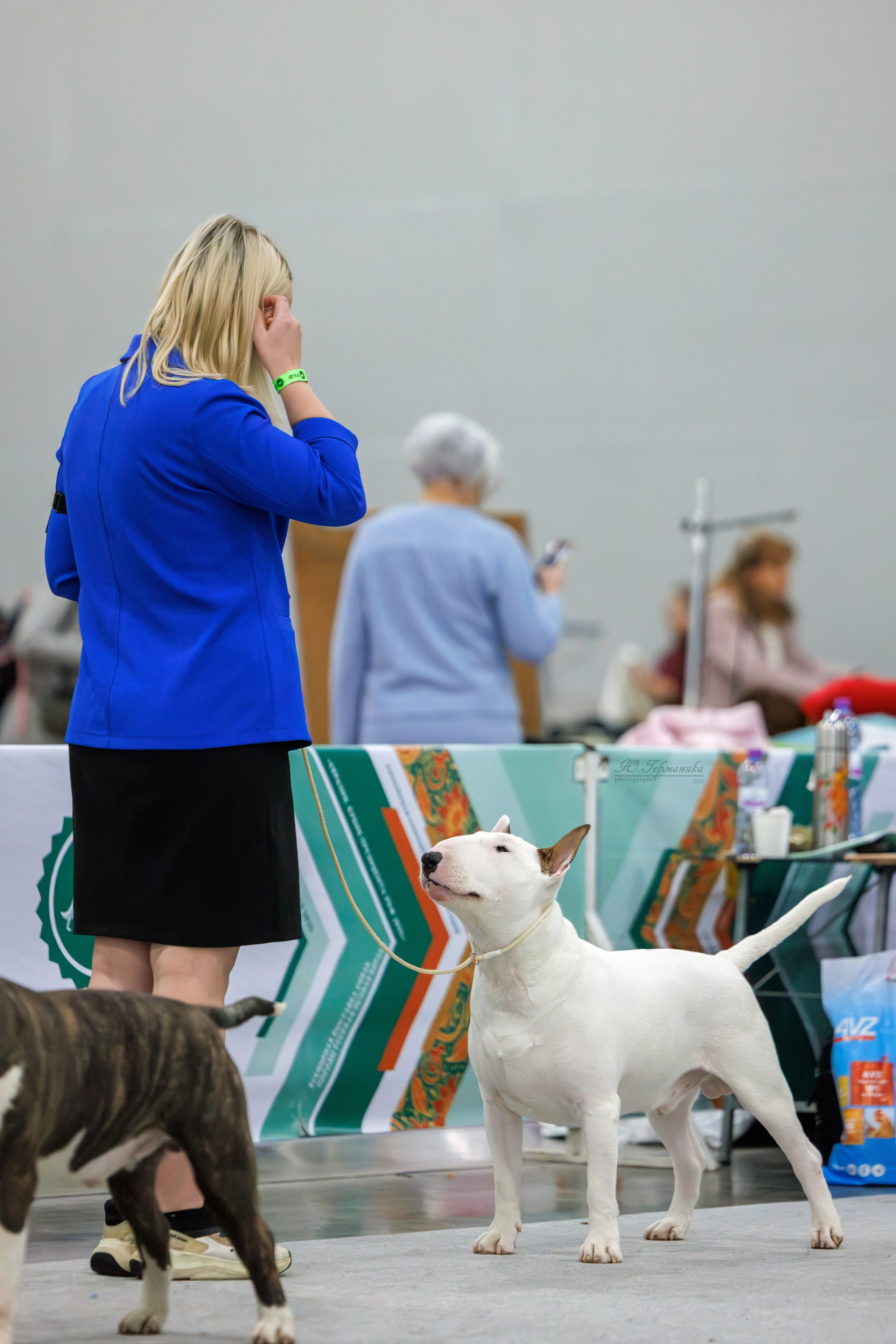 Евразия 15-16.11.2025. Фотограф-анималист Юлия Германика