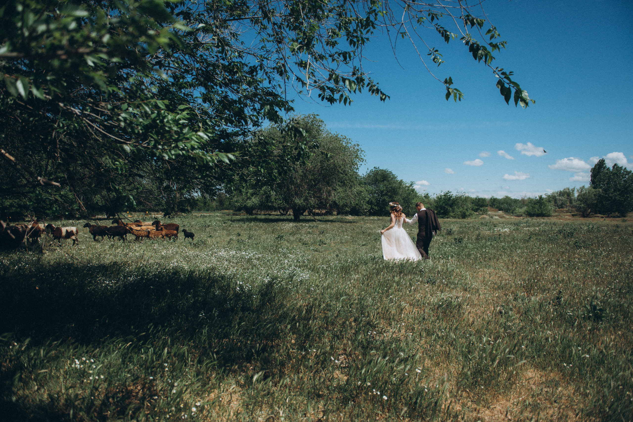 Полина и Женя Свадебная фотосессия. Свадебный и семейный фотограф город Темрюк Фотостудия Темрюк
