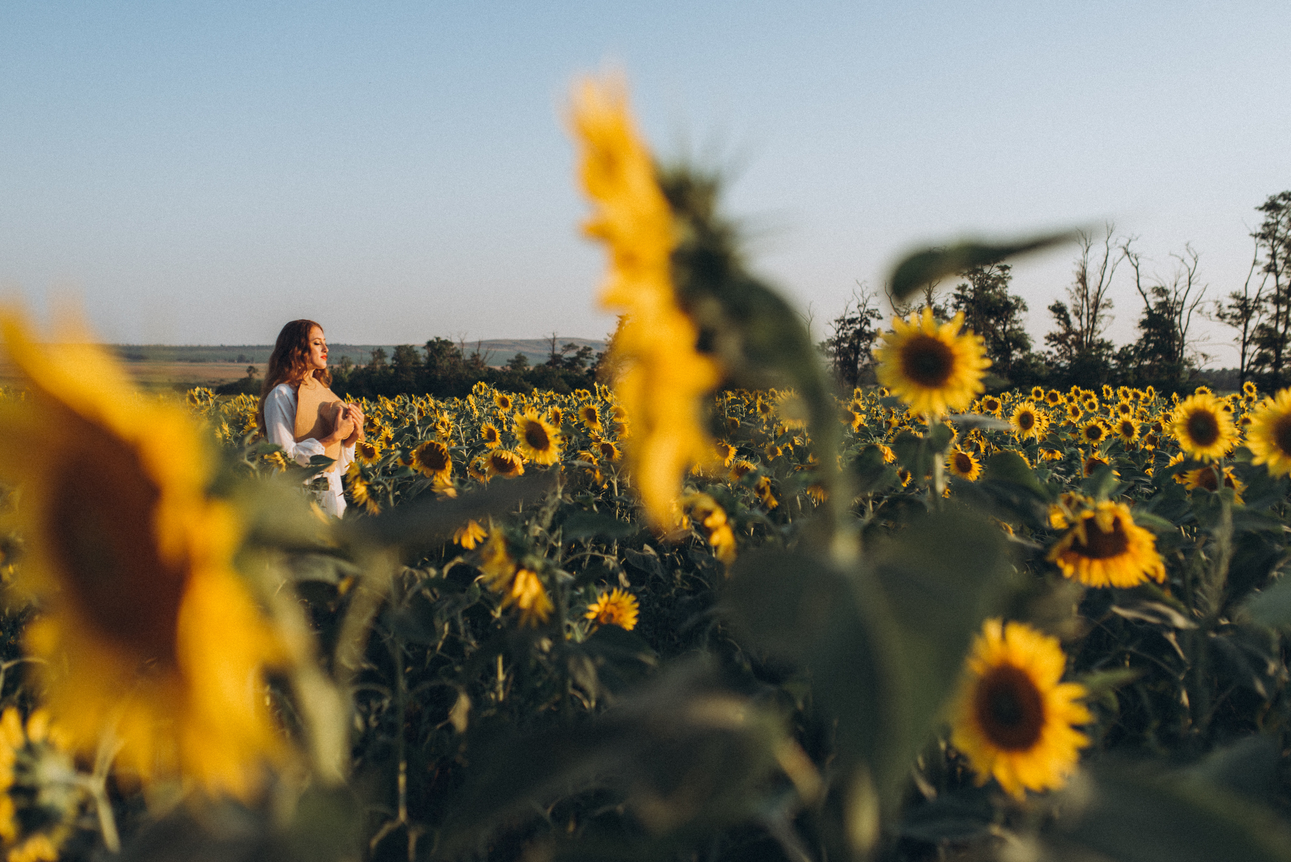 Подсолнухи. Свадебный и семейный фотограф город Темрюк Фотостудия Темрюк