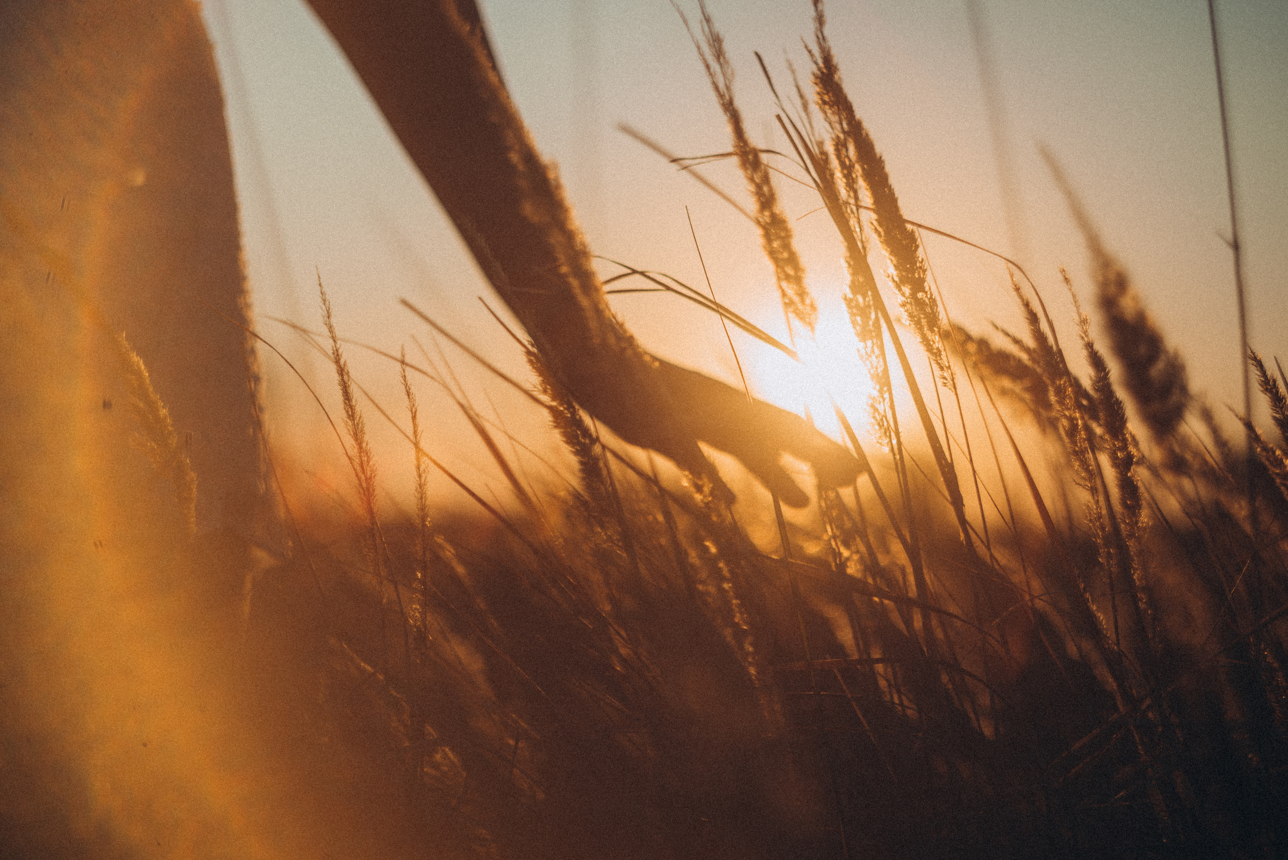 Оксана. Свадебный и семейный фотограф город Темрюк Фотостудия Темрюк