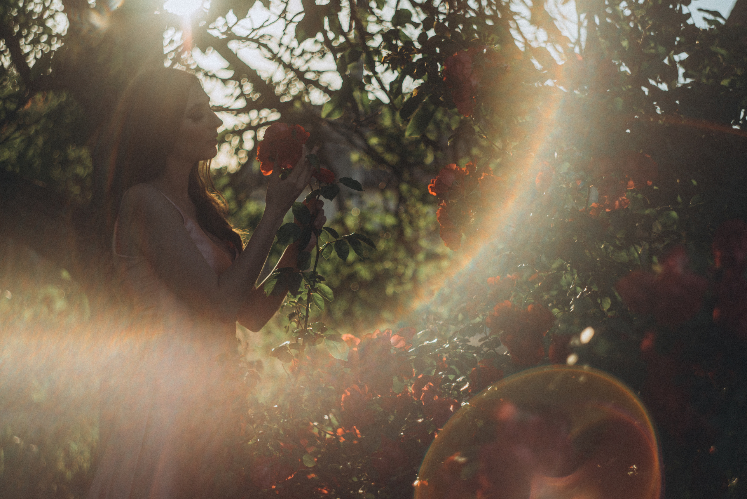 Дарья в розах. Свадебный и семейный фотограф город Темрюк Фотостудия Темрюк