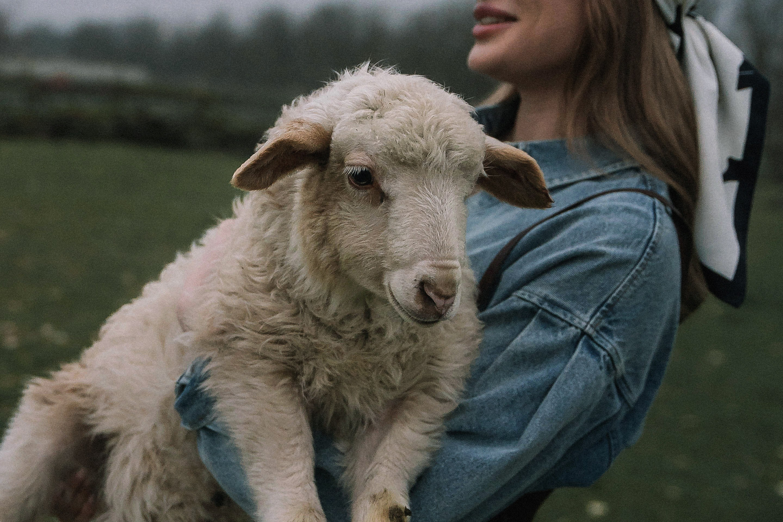 На ферме. Татьяна Тагель