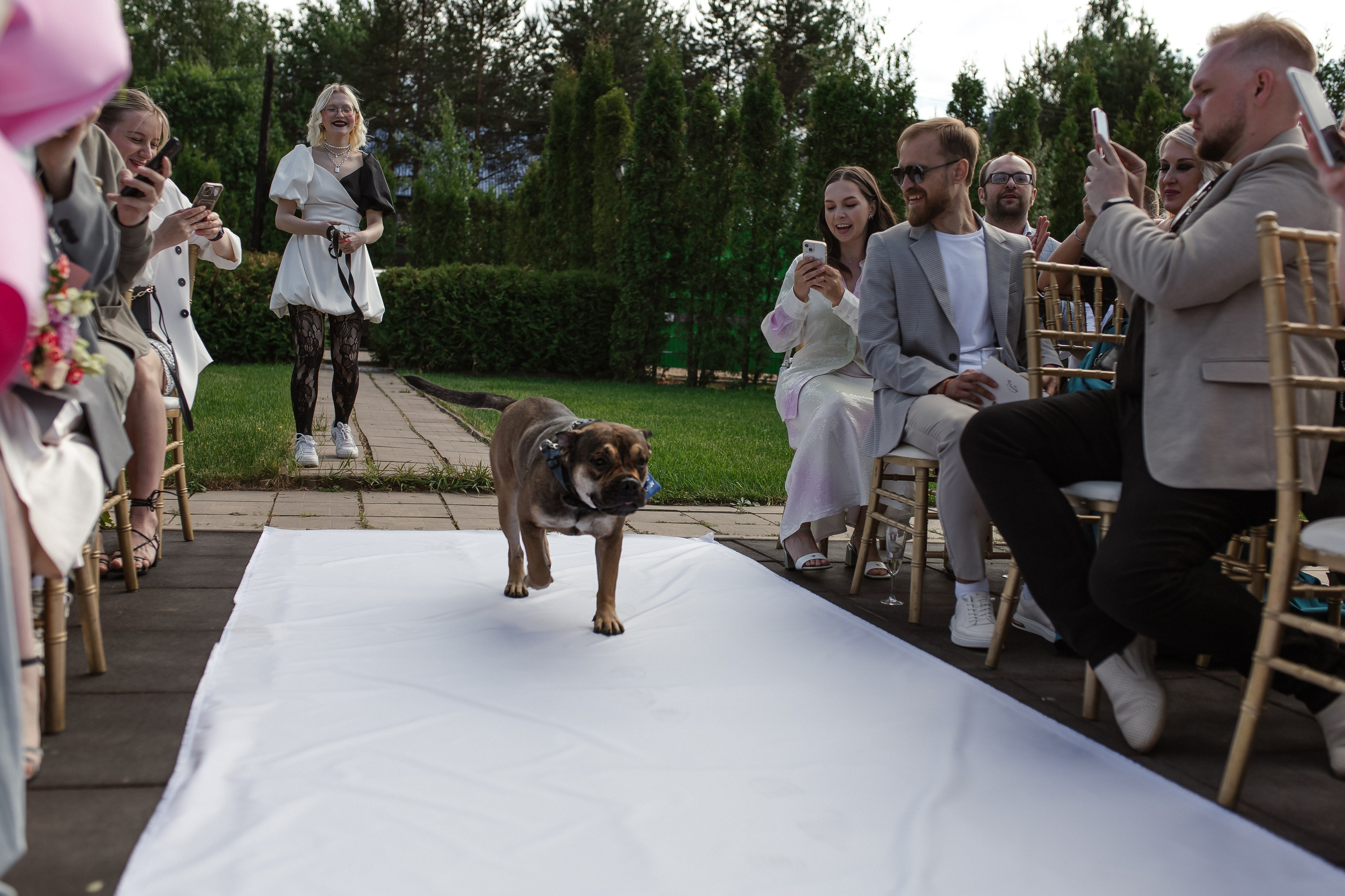 Настя и Ростислав. Свадебный фотограф в Санкт-Петербурге Болдинова Евгения