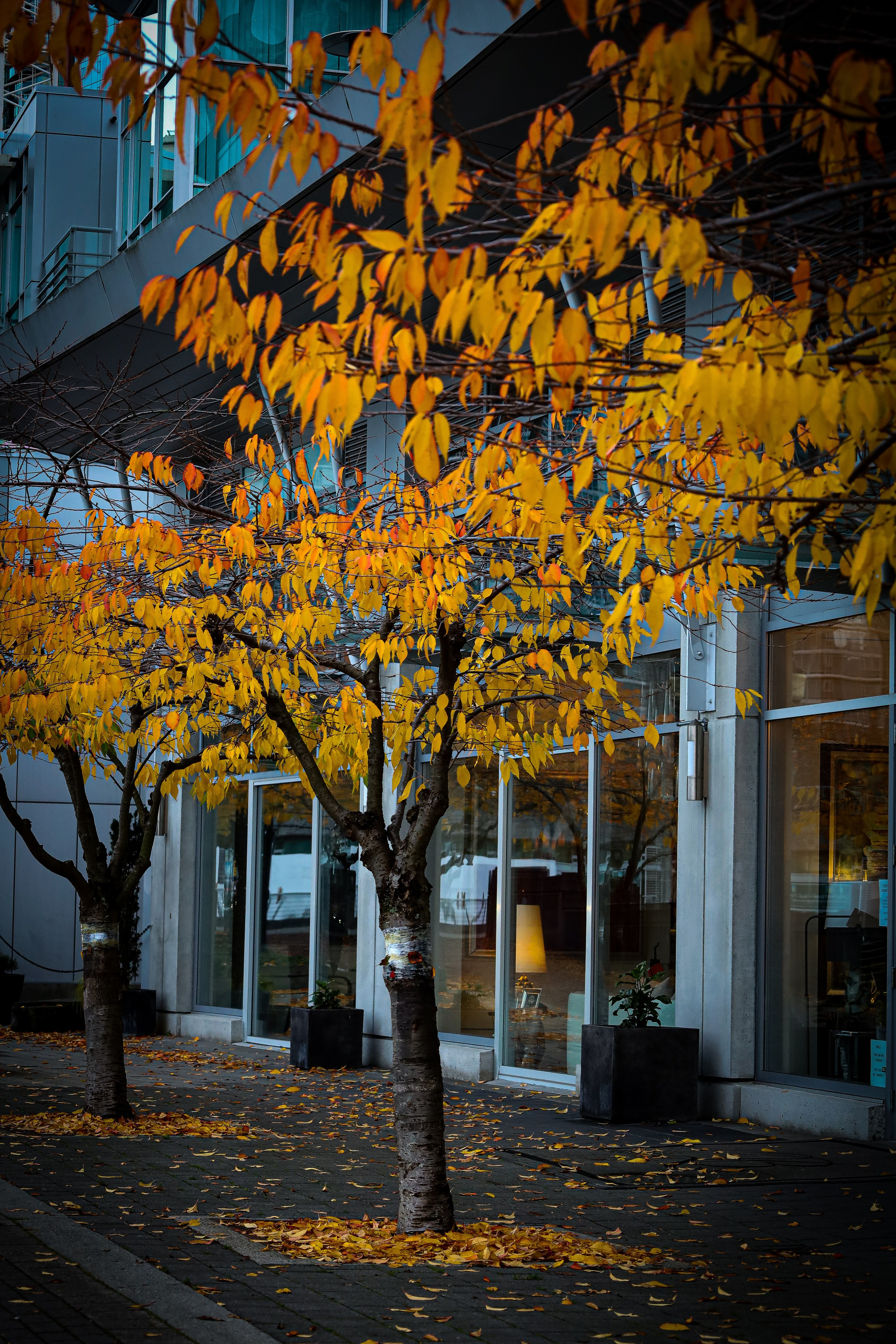 Вдоховение. Главная