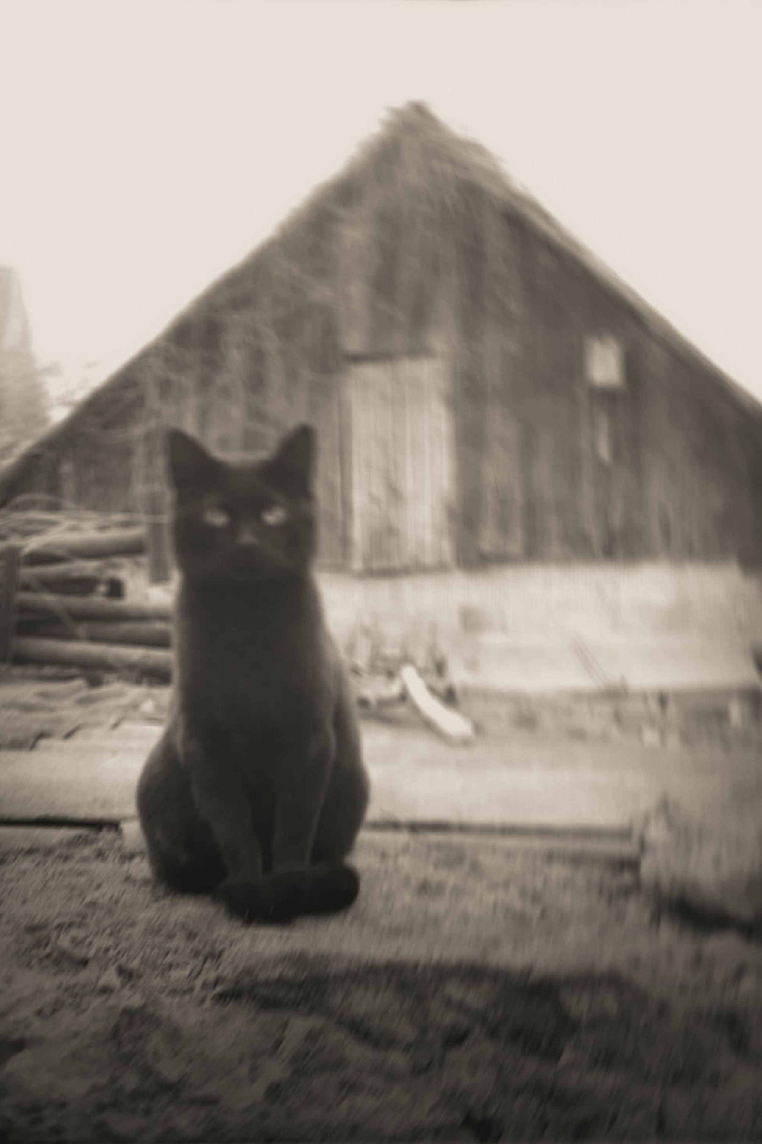 ГУМ «МИР СНОВ» МОСКВА. ARTEXPOPHOTO