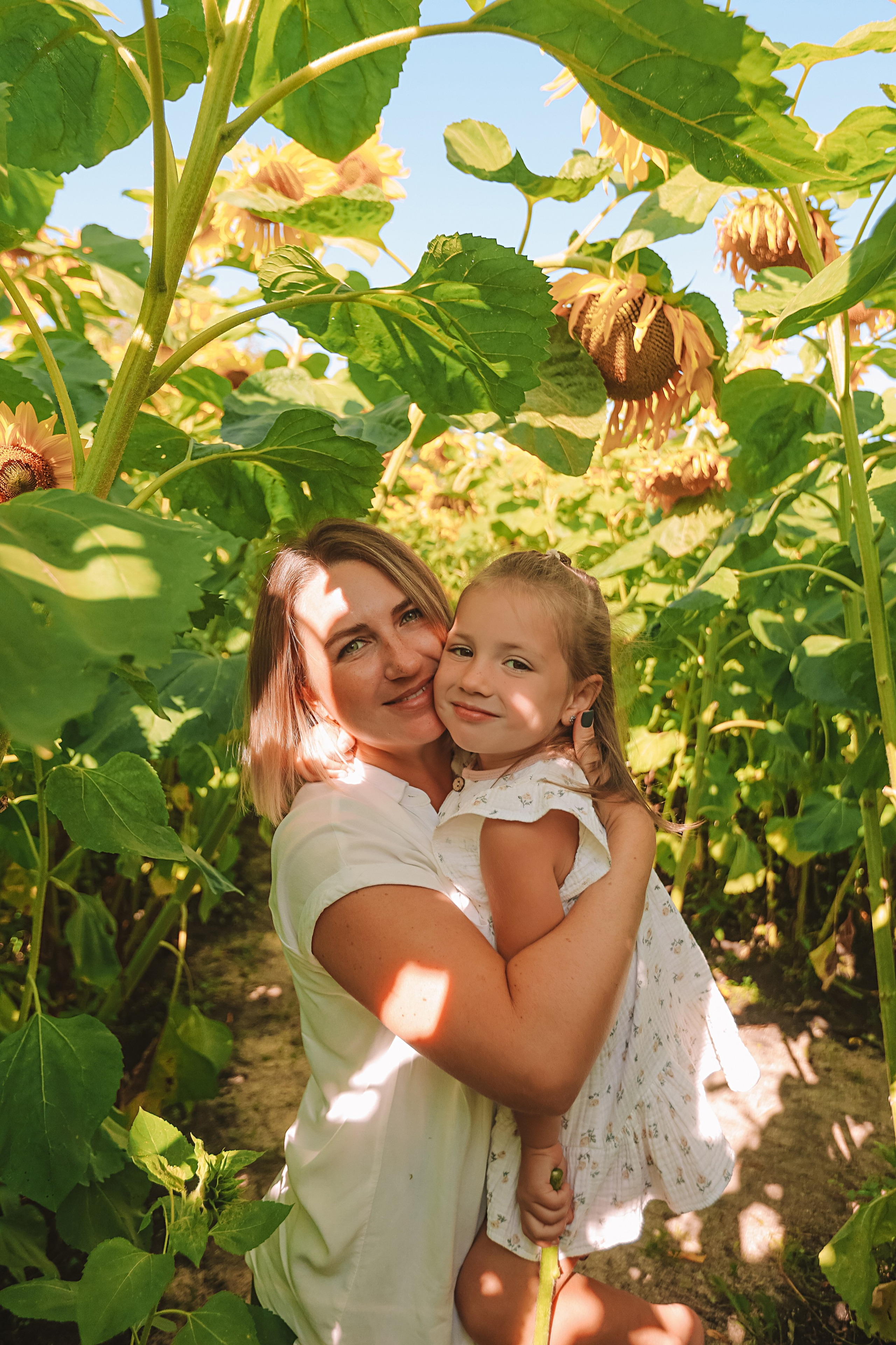 Подсолнухи. Семейный фотограф Тюмень, фотограф на роды Салмина Мария