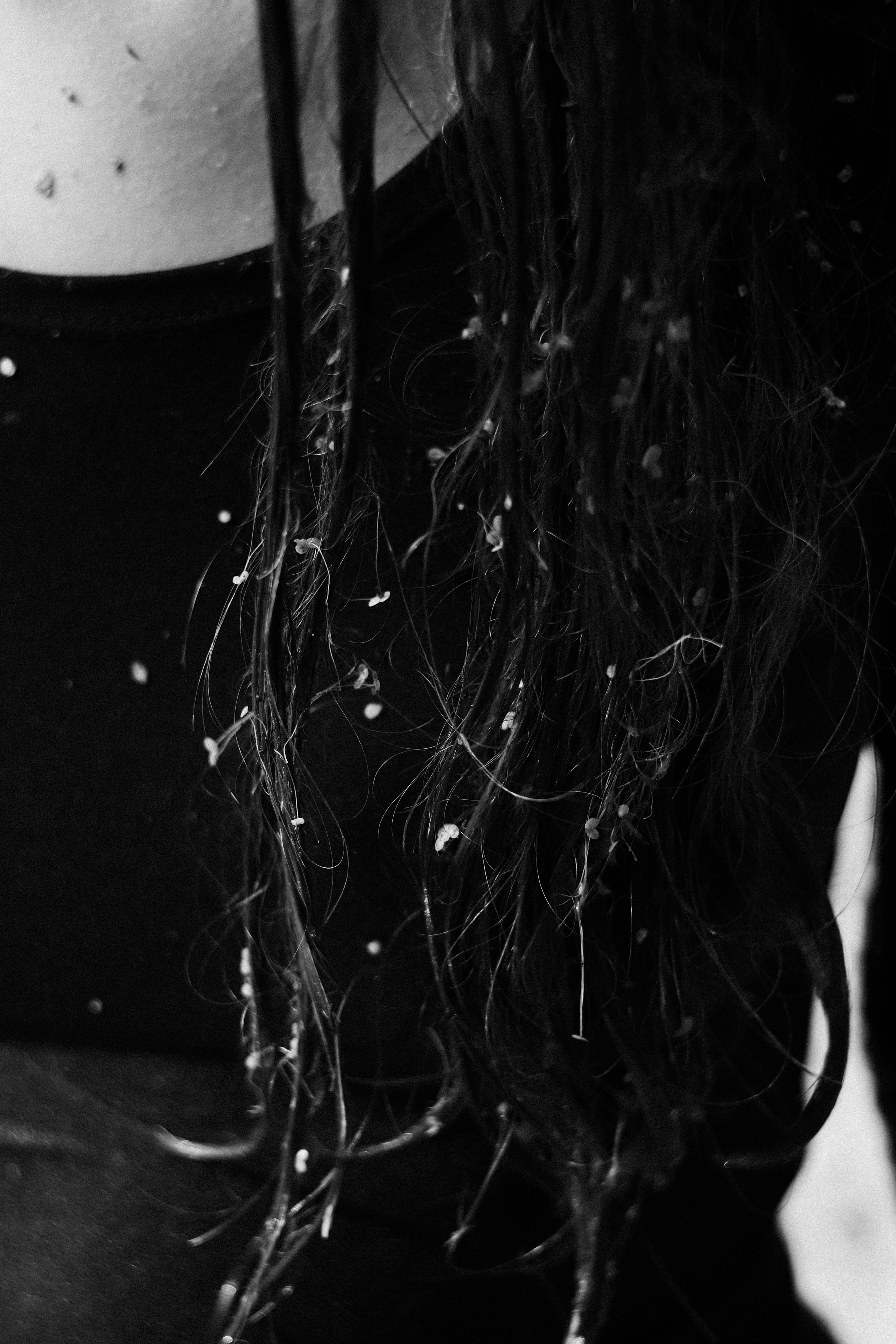 /все что вокруг. Kristina Rashkovskaya