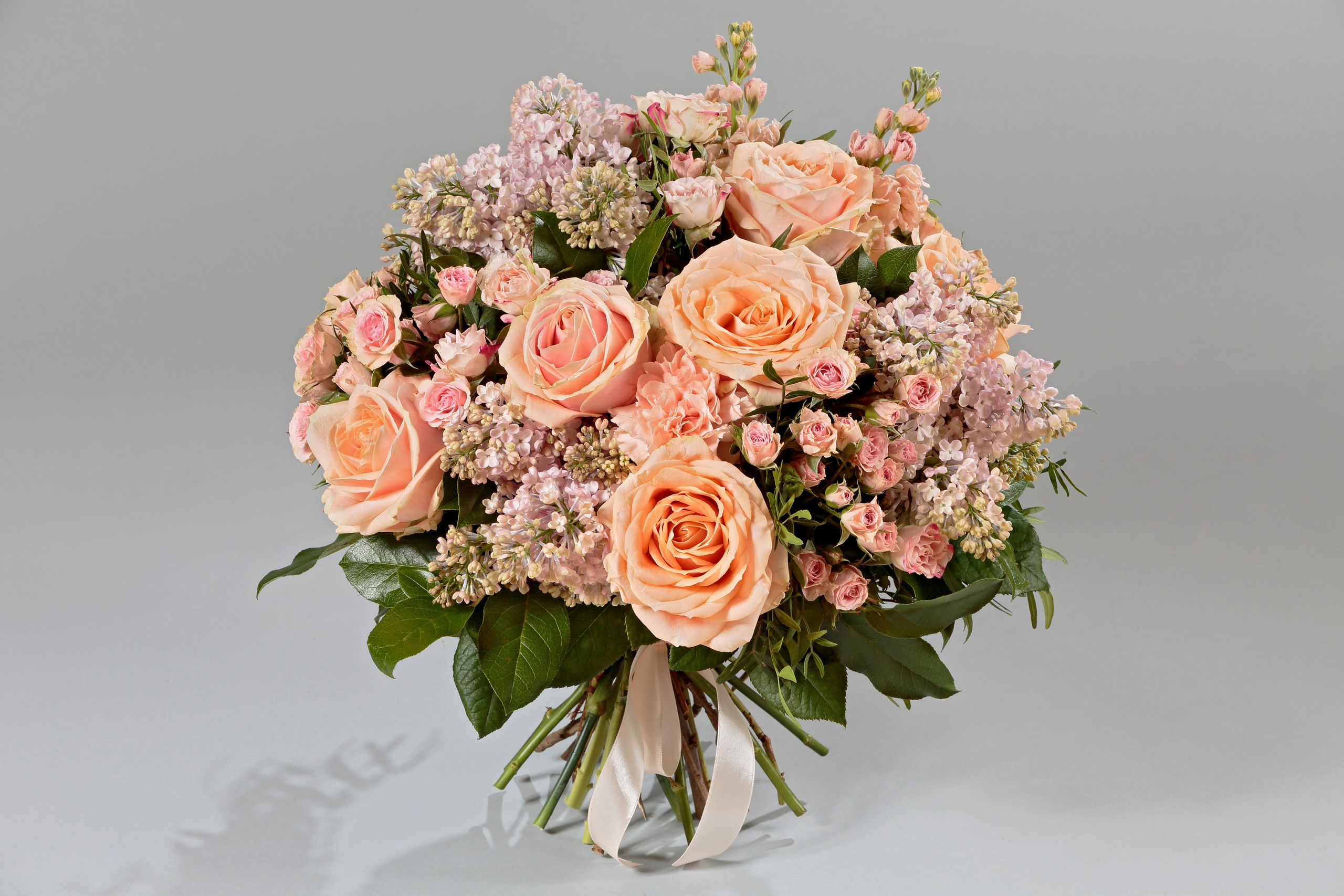 Ле Шарм. Попов.фото — Предметная фотостудия в Новой Москве