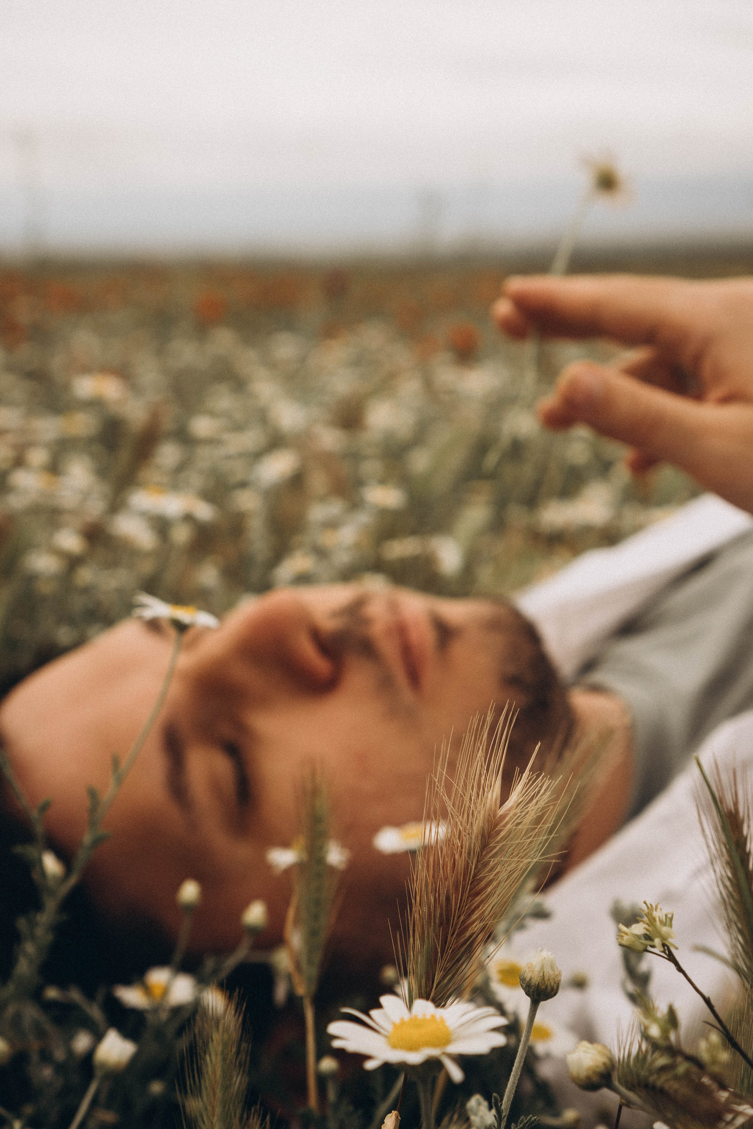 Маки. Профессиональный фотограф, Санкт-Петербург — Виктория Богомолова