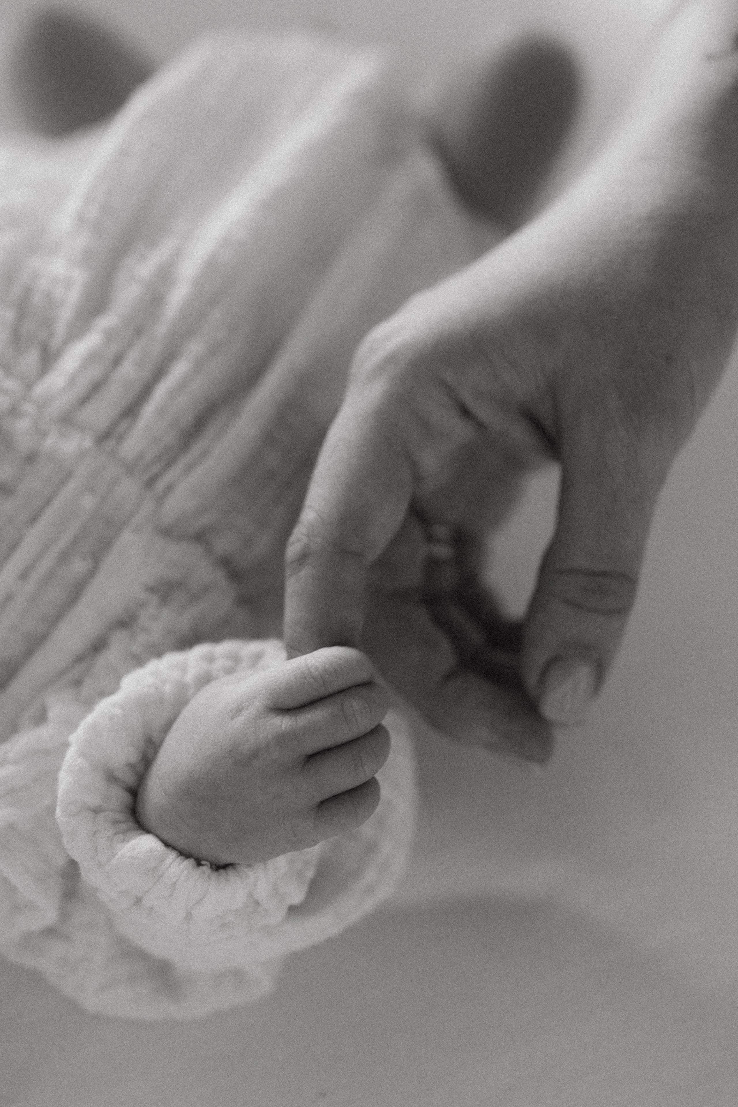 Newborn. -
