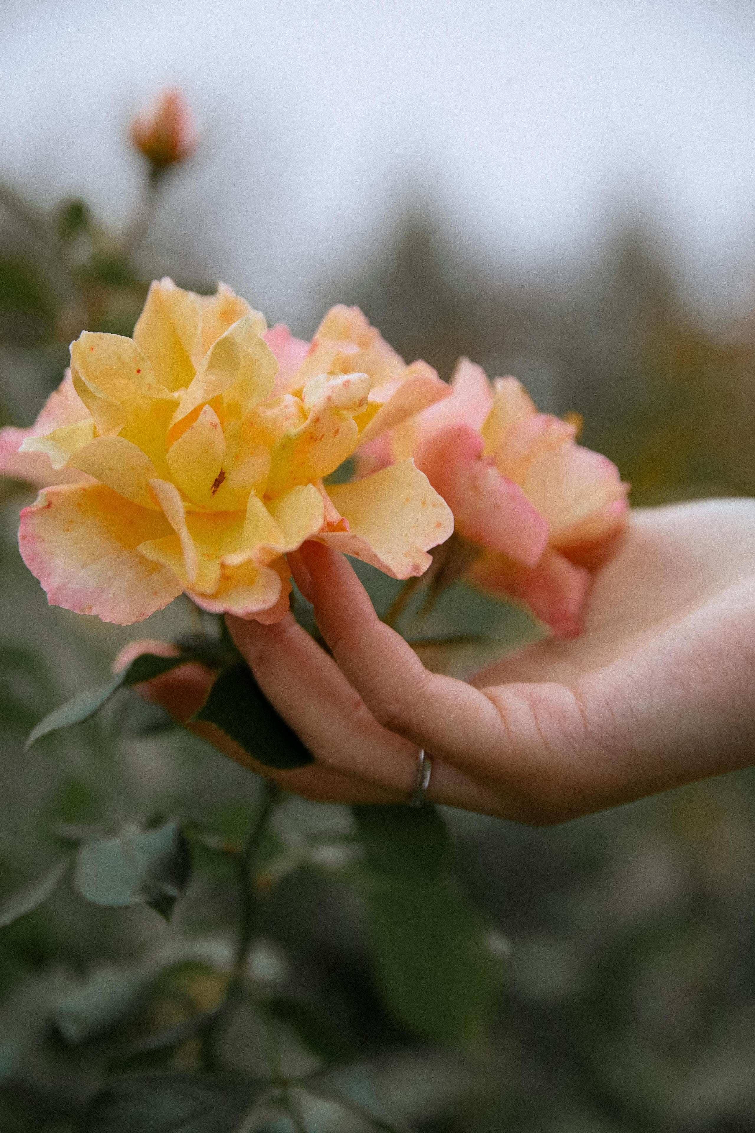 МИЛЕНА И ИВАН. Свадебный фотограф в Воронеже Гридина Галина