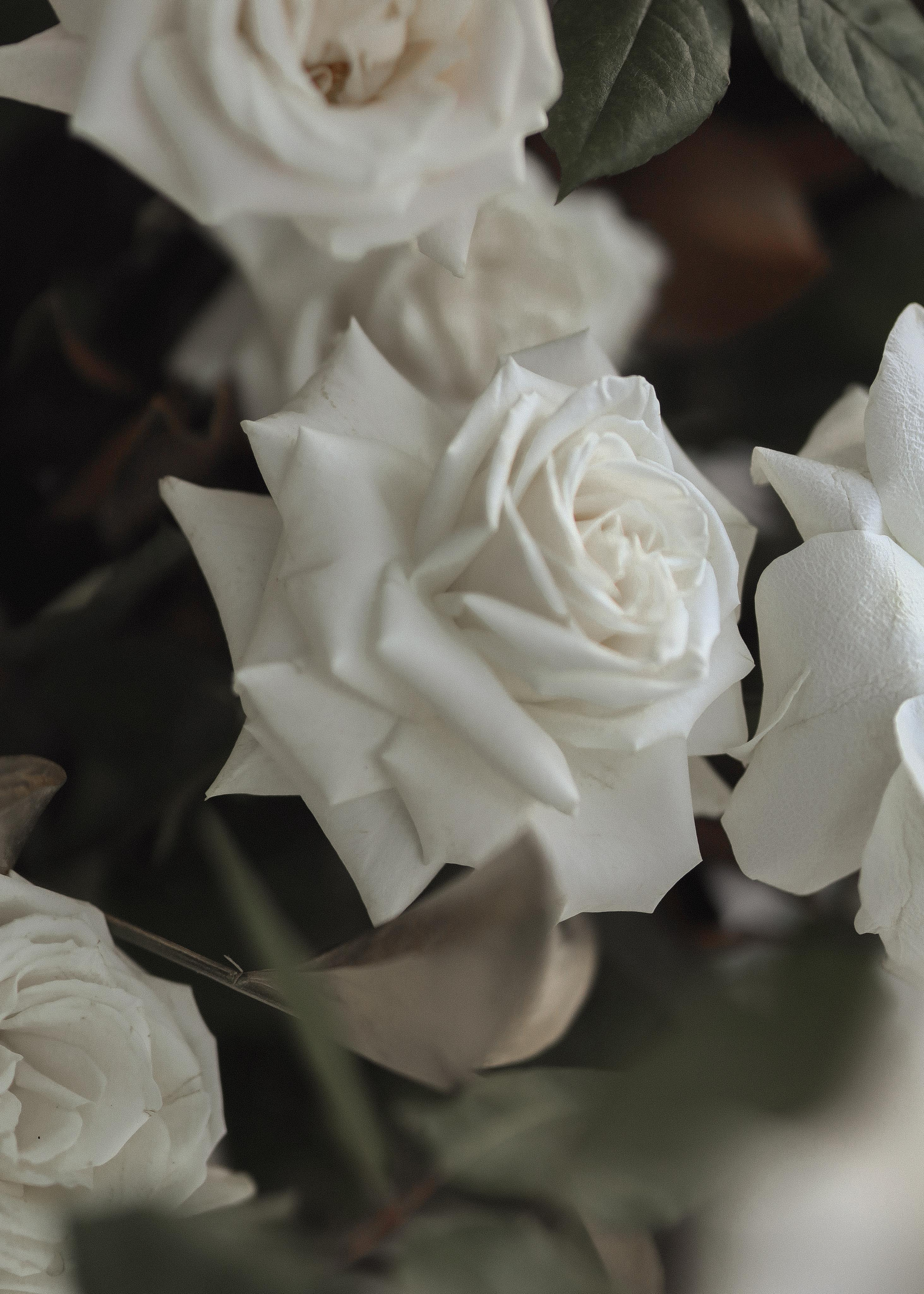 ДАРЬЯ И ОЛЕГ| КАЛИНИНГРАД. Свадебный фотограф в Воронеже Гридина Галина