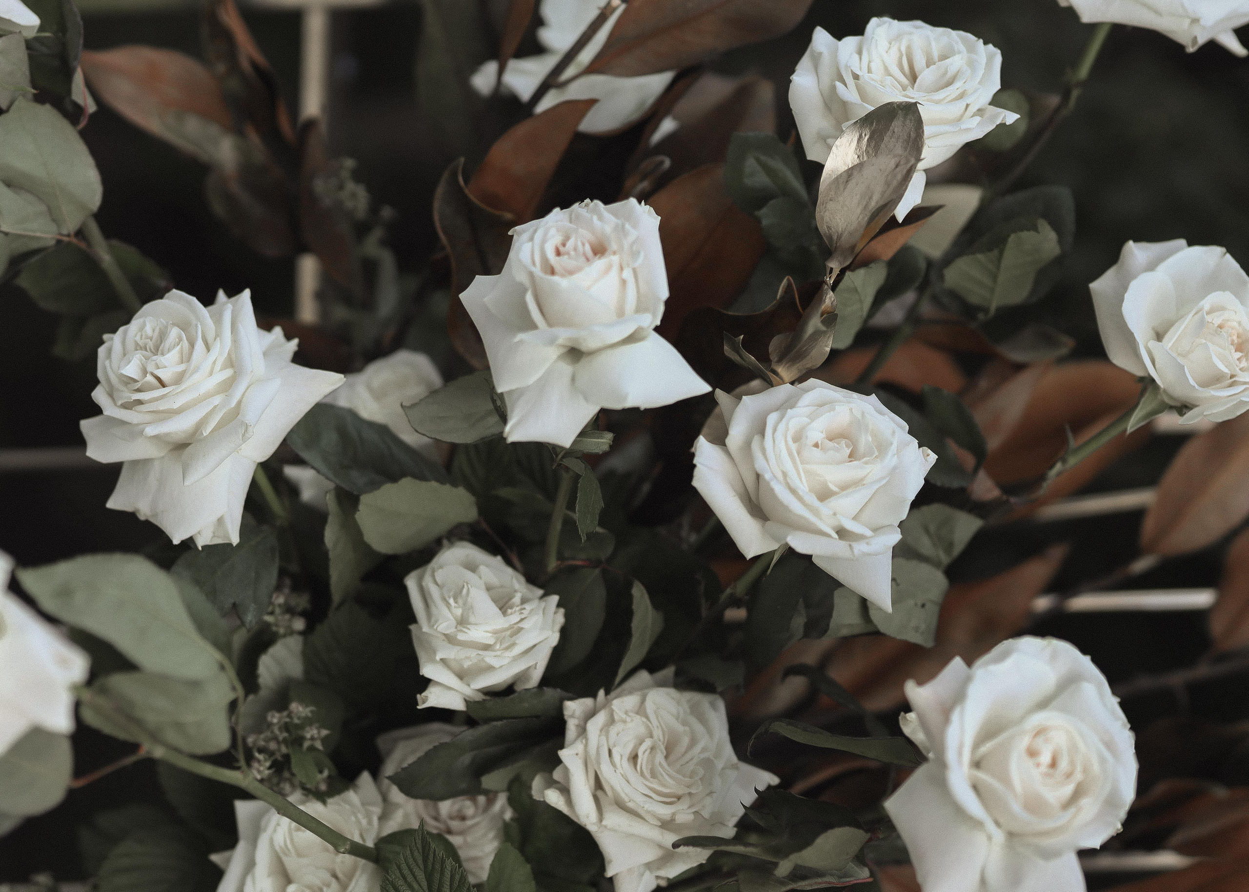 ДАРЬЯ И ОЛЕГ| КАЛИНИНГРАД. Свадебный фотограф в Воронеже Гридина Галина