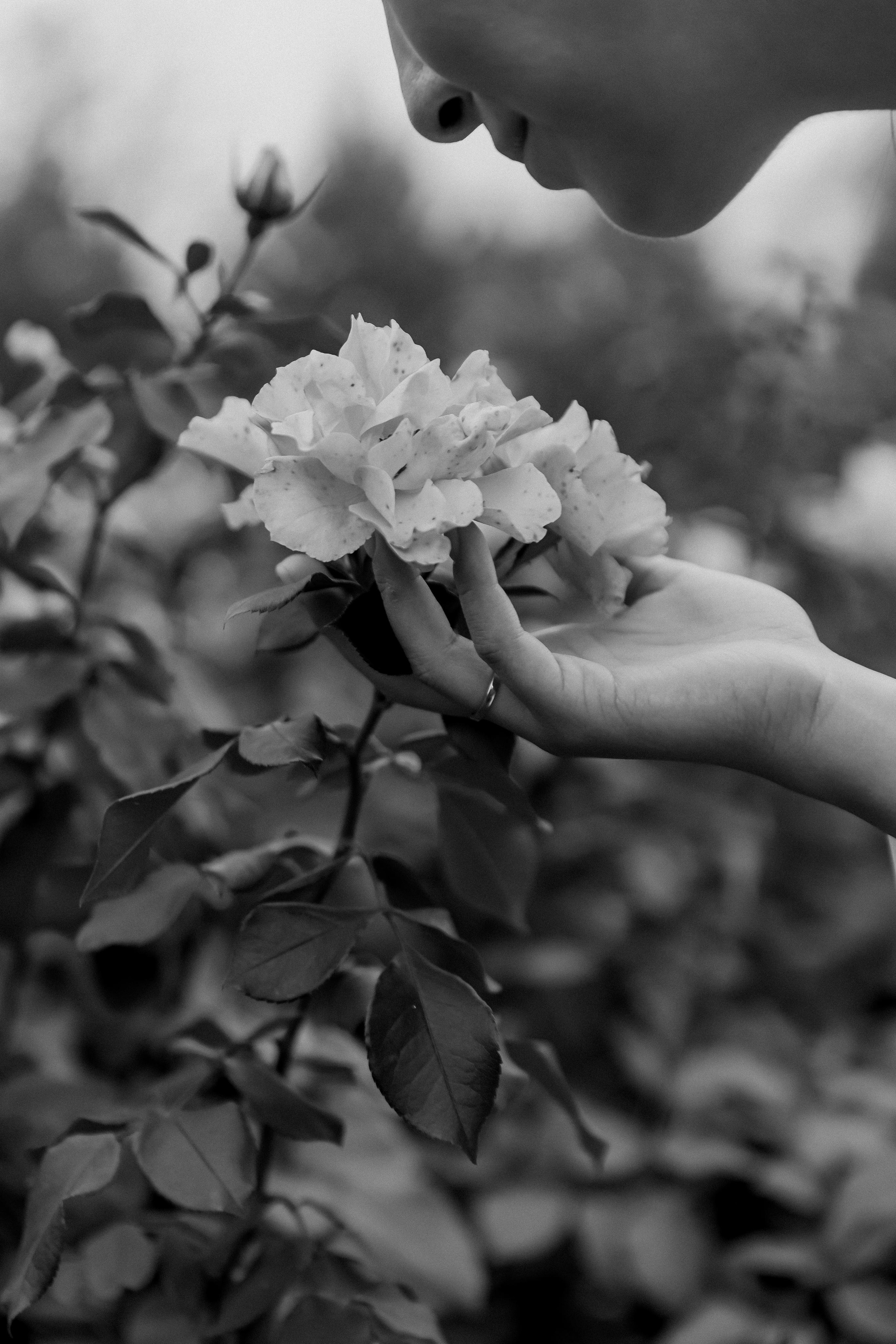 МИЛЕНА И ИВАН. Свадебный фотограф в Воронеже Гридина Галина