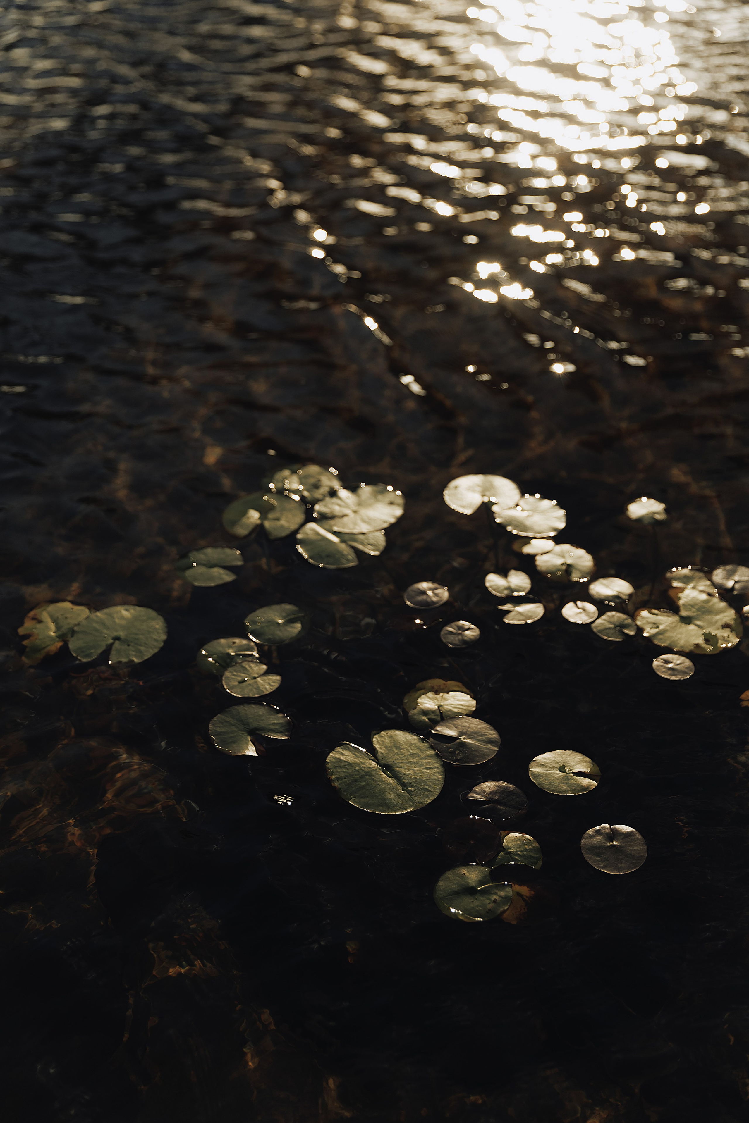 Kate & Andrew. Свадебный фотограф в Севастополе и Крыму| Tanya Sher