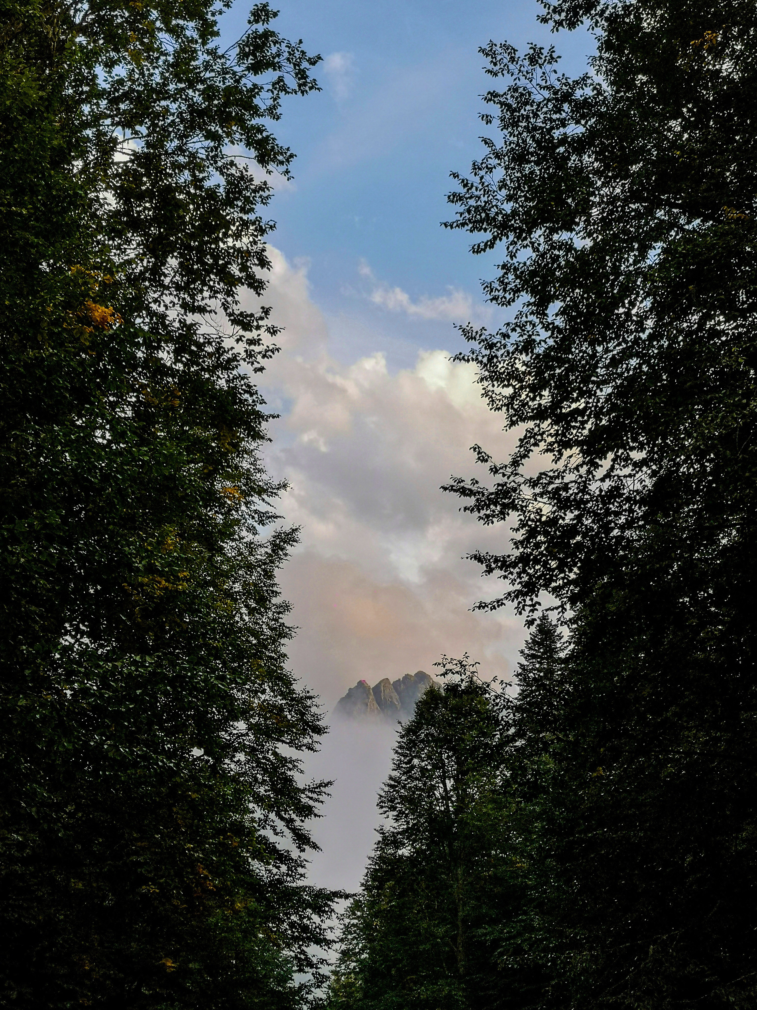 Мобильная солянка. Travel-фотограф Ирина Милинцова