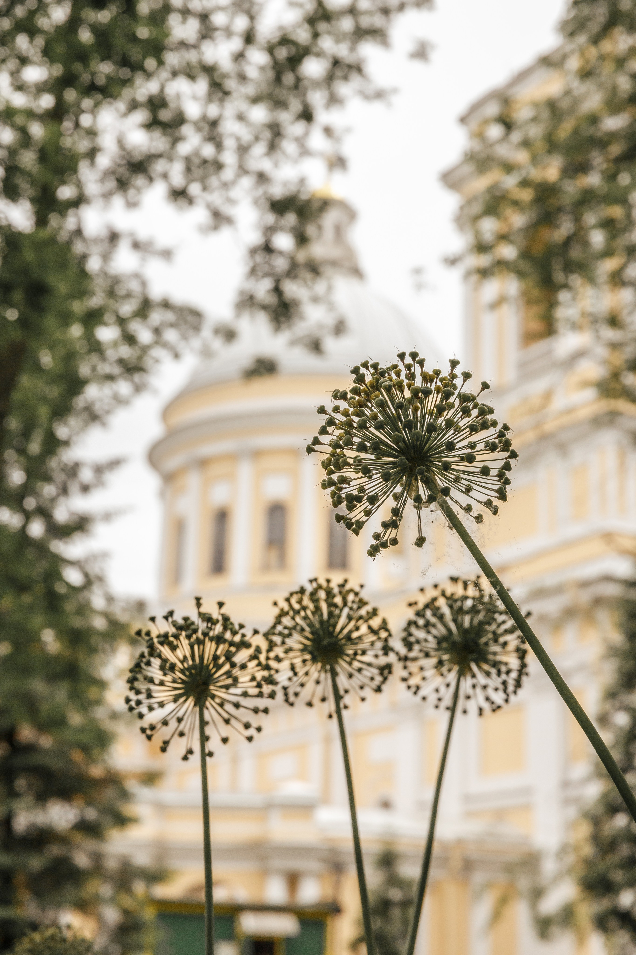 Александро-Невская Лавра. Свадебный фотограф, крещение, венчание СПБ, Белгород Анна Коршунова
