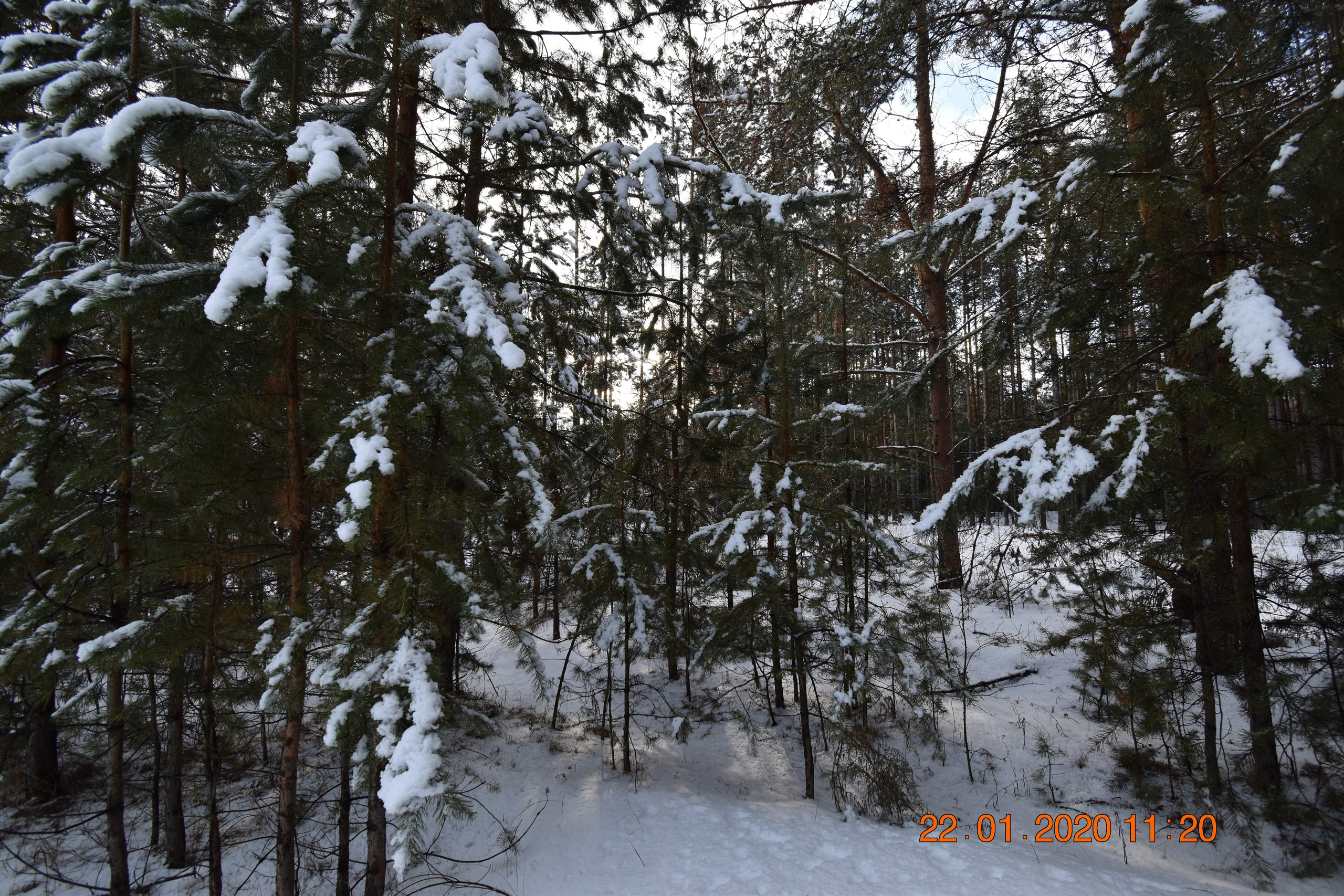 Все что тронуло, миниатюры. Созерцатель. фотографирую что тронуло и впечатлило. самарская область
