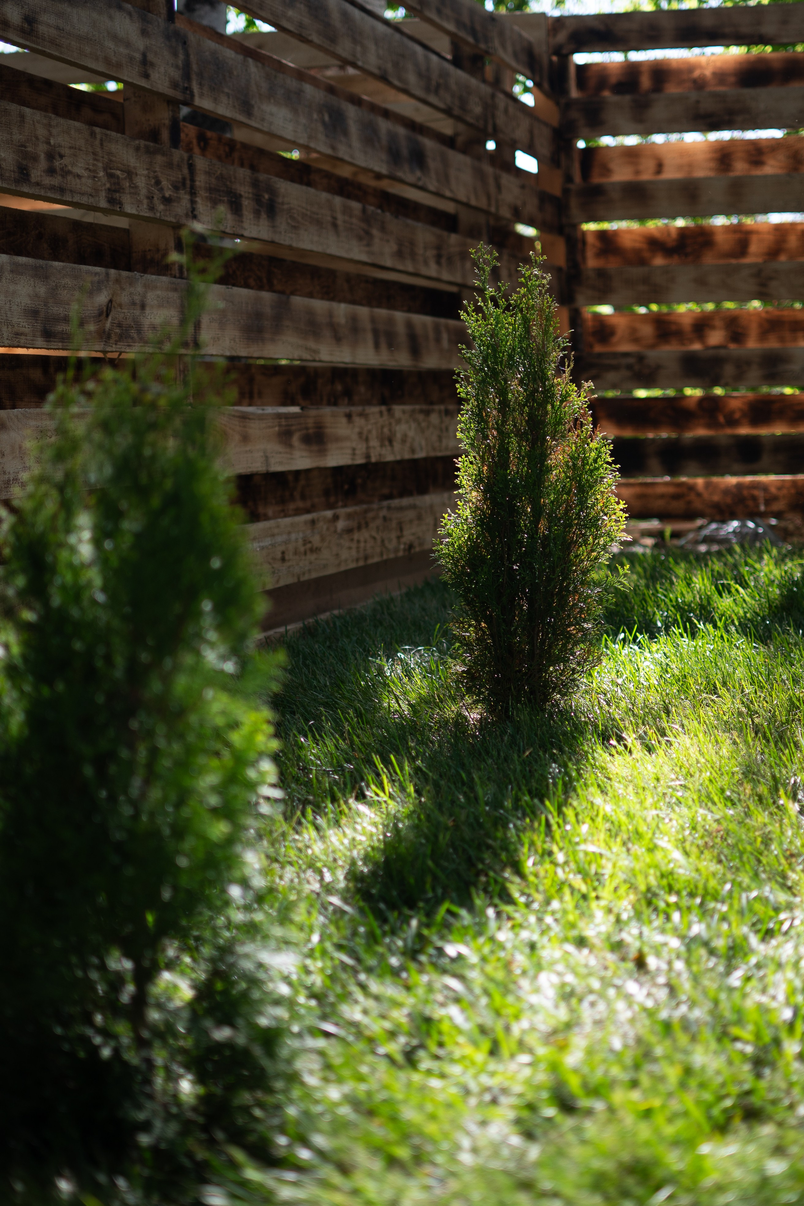 Интерьерный фотограф Уфа. Свадебный фотограф Тимур Хабибуллин