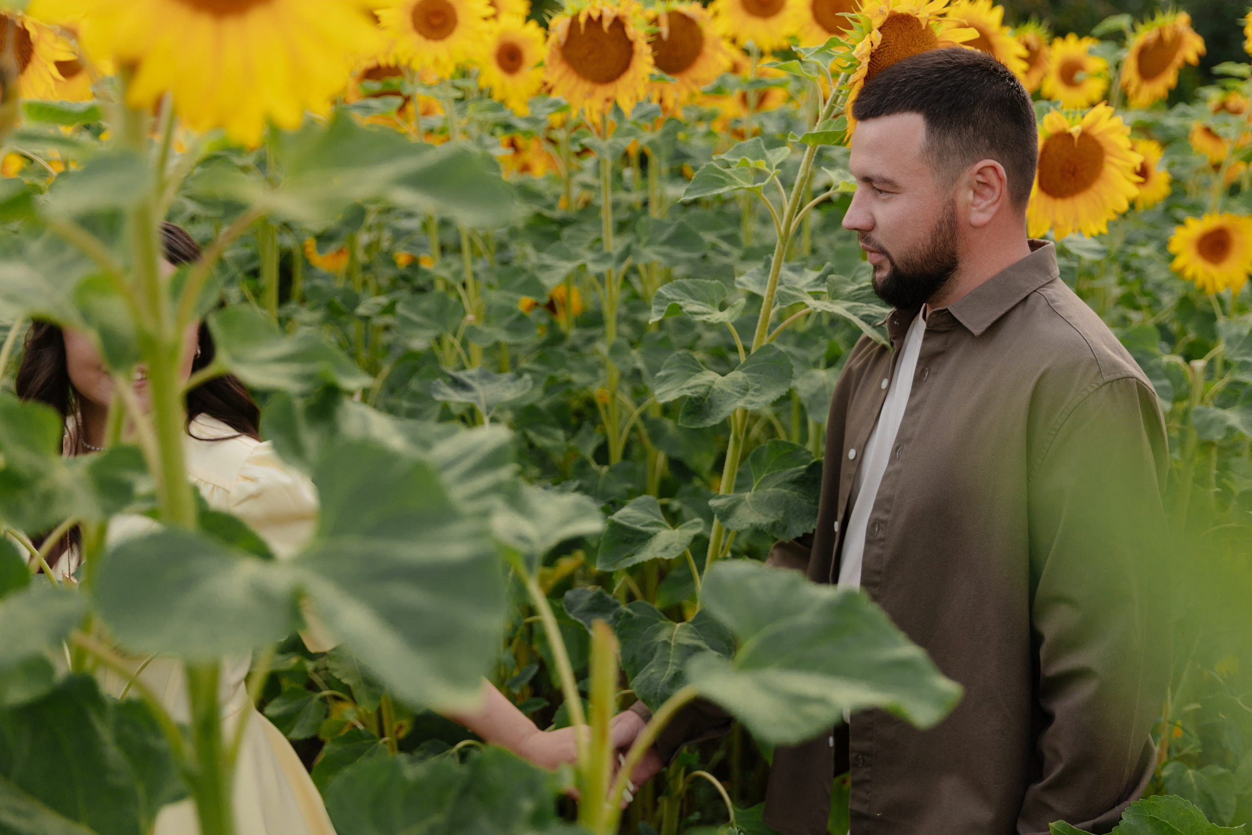 Предсвадебная Подсолнухи. Свадебный и репортажный фотограф г. Чебоксары Евгений Леонидович