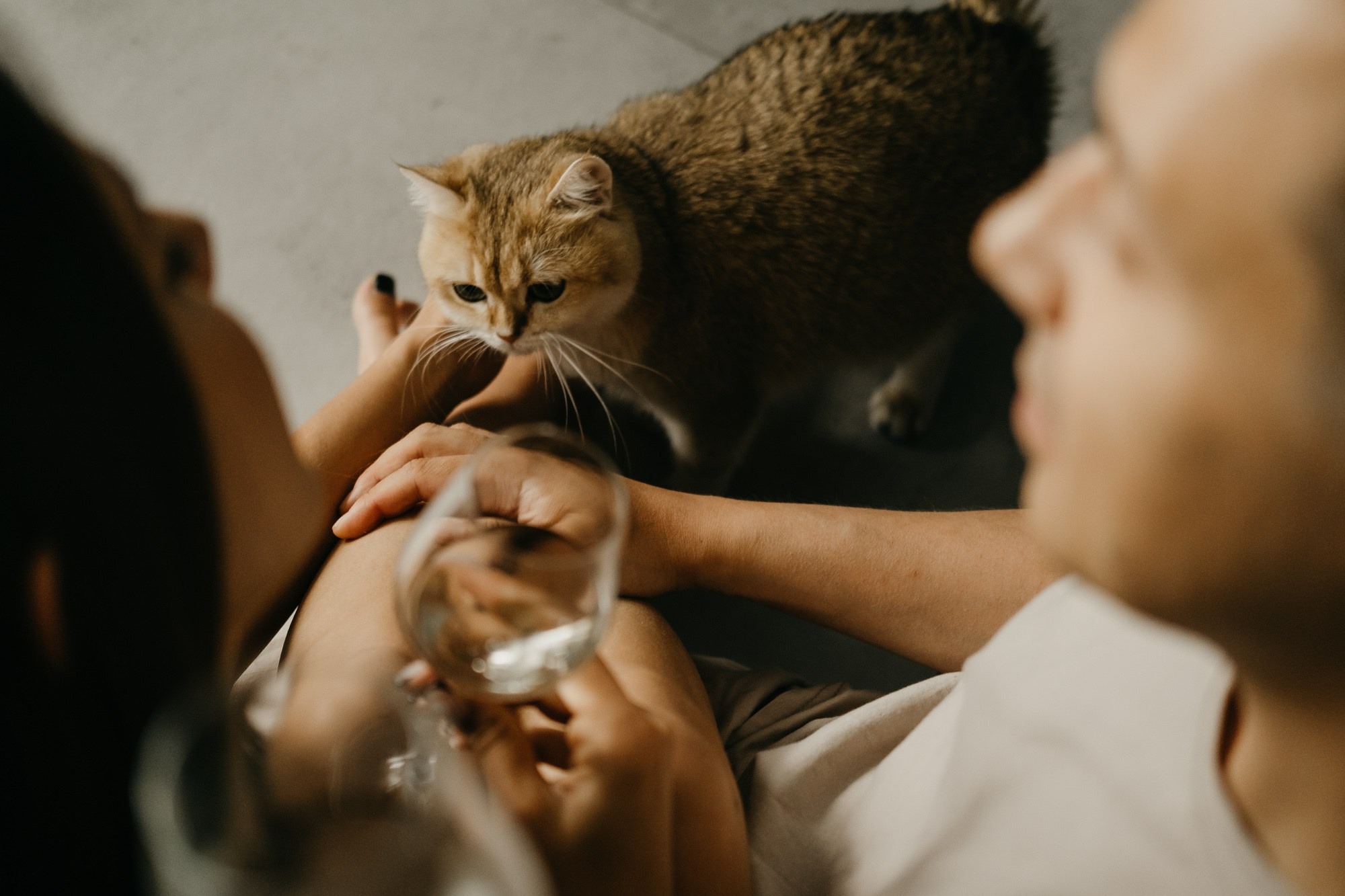 Диана и Леша. Свадебный фотограф Александра Тюлякова