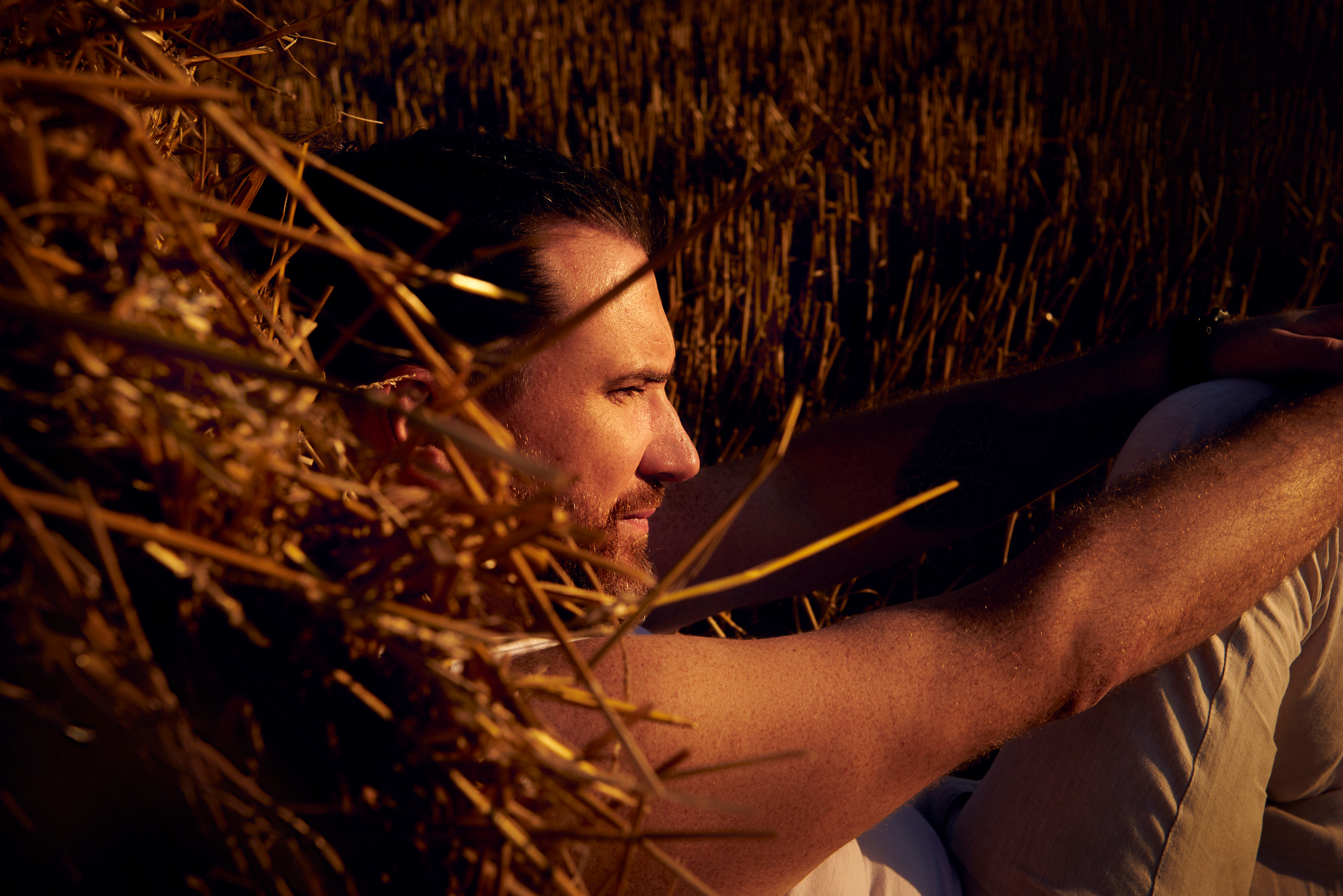 Стога сена 13.08.22. Фотограф Мария Оленева