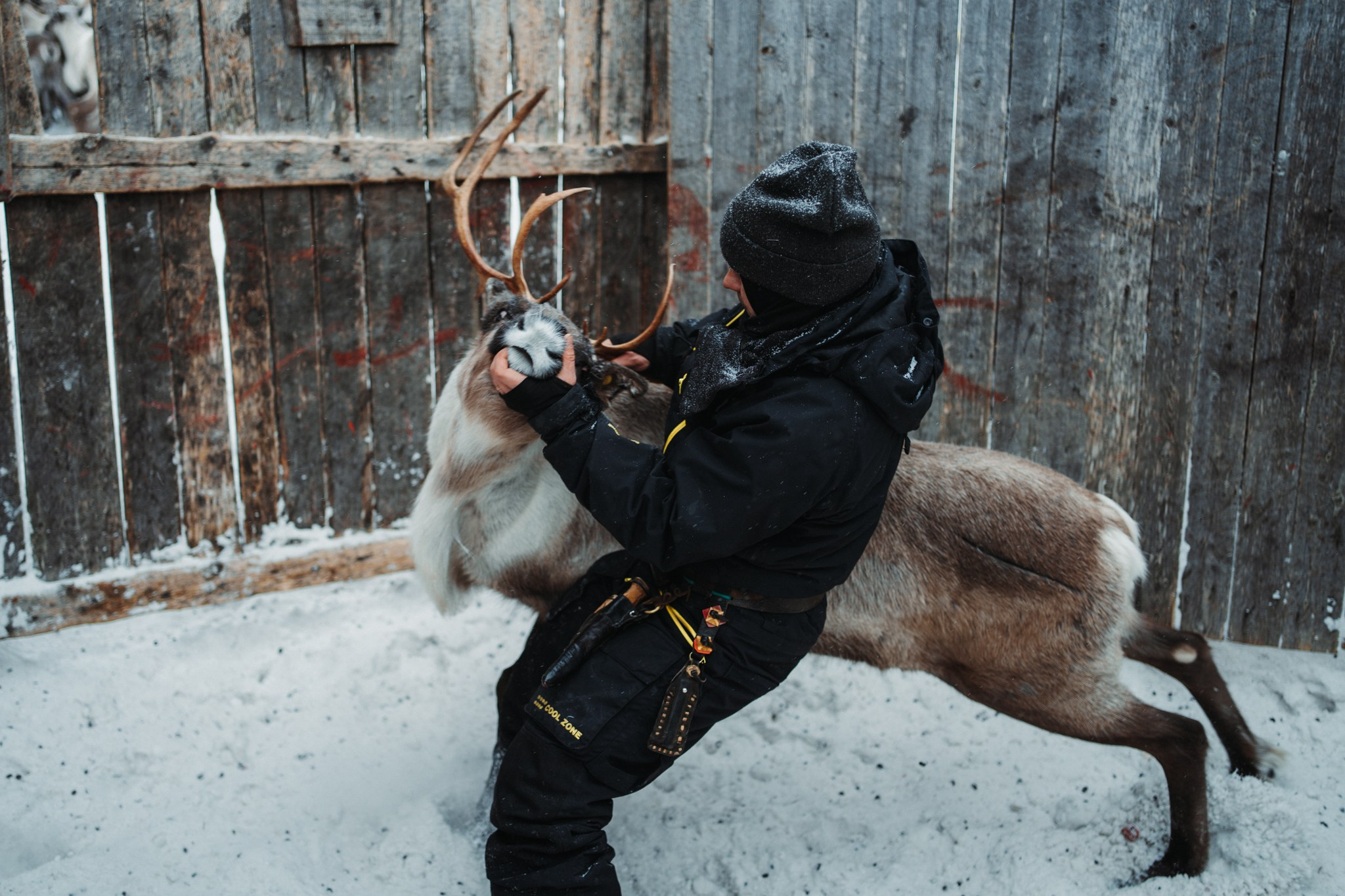 Кораль. На север к оленям. Репортажный фотограф в Сочи — Михаил Мордасов