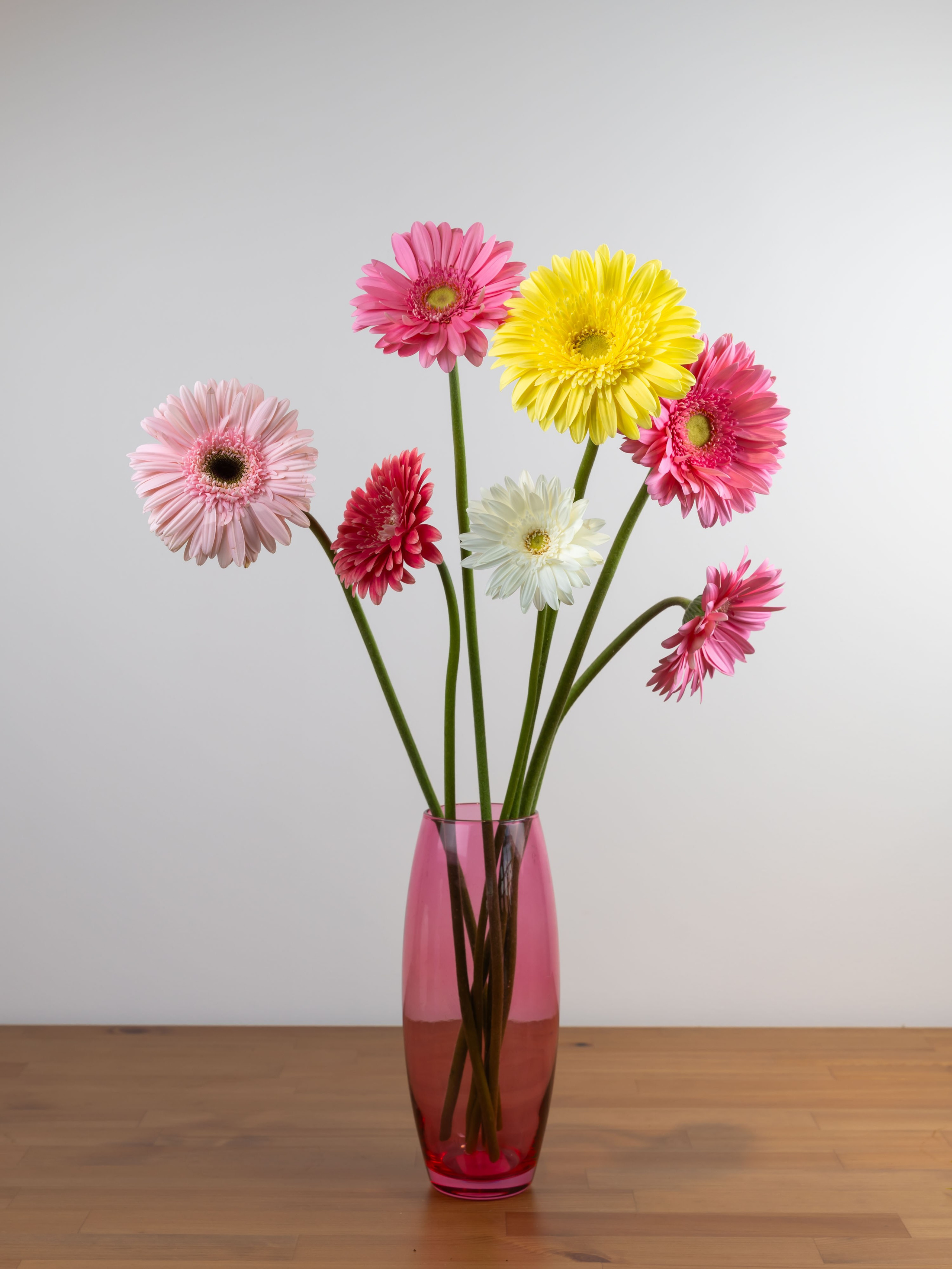 ЦВЕТЫ. ФОТОГРАФ ВИНОГРАДОВА ДАРЬЯ