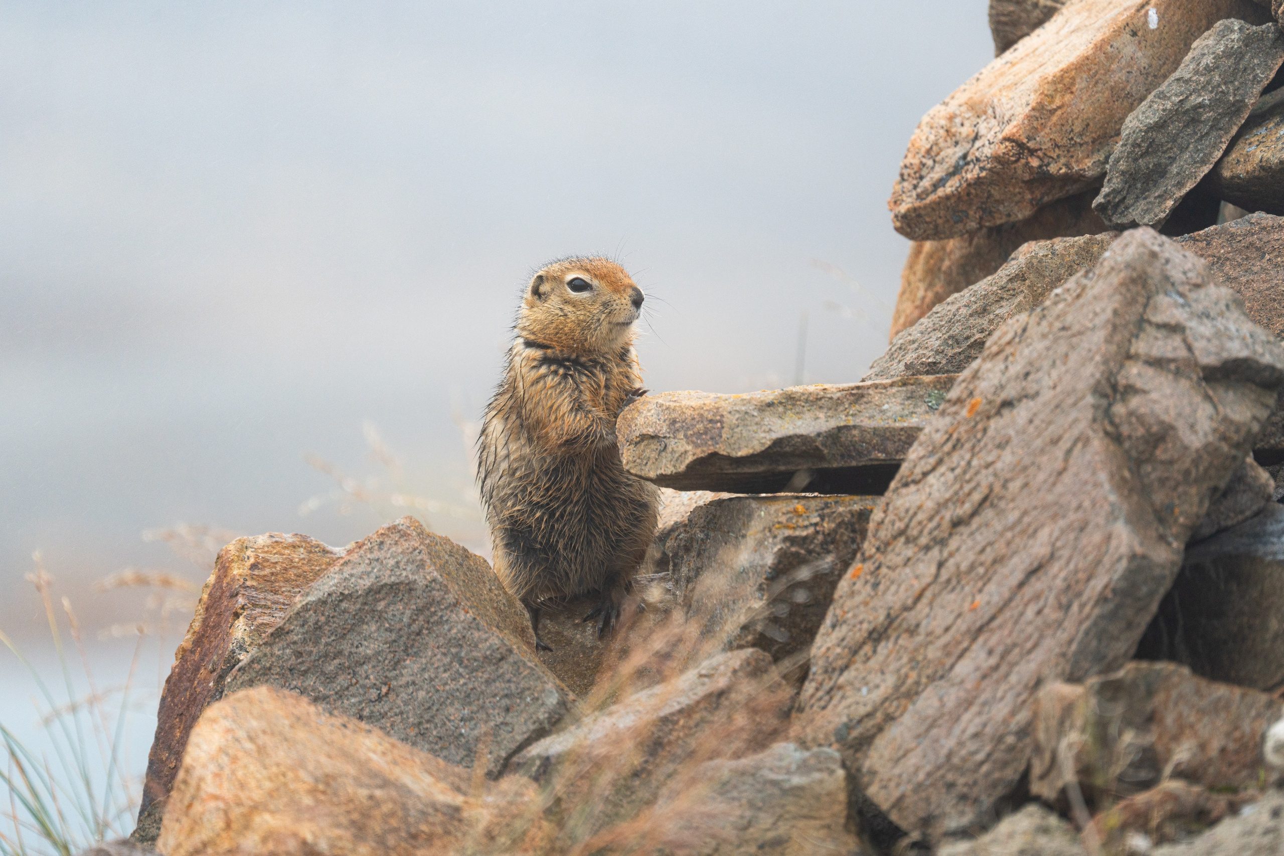 Чукотка. Gusarov Travel Photography