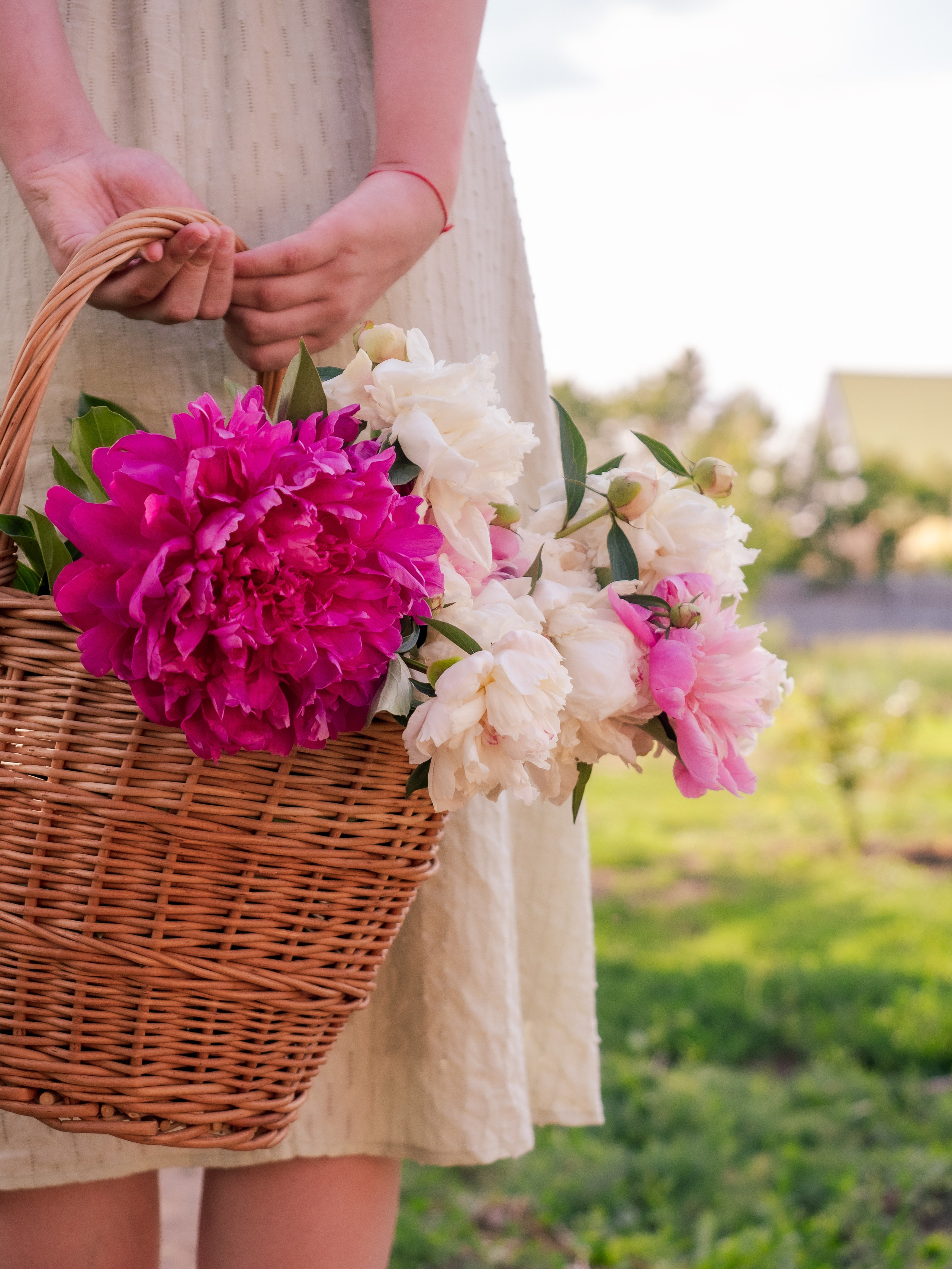 Индивидуальная съёмка. Семейный фотограф в Марксе Светлана Шибаршина