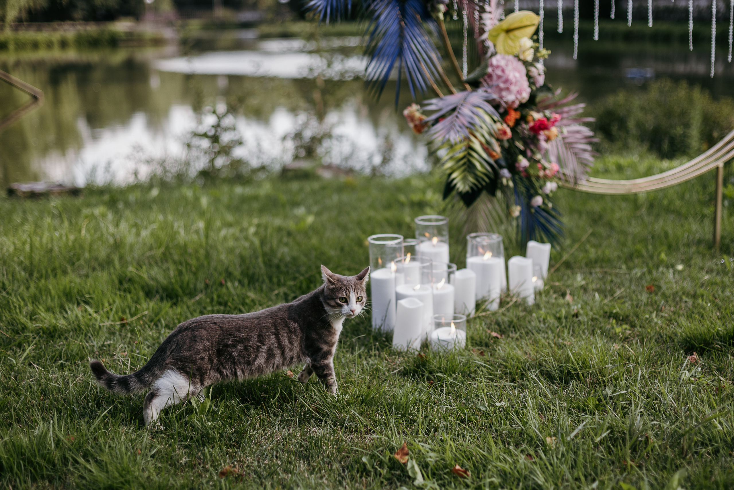 E & Y. Свадебный фотограф Ефимова Ольга