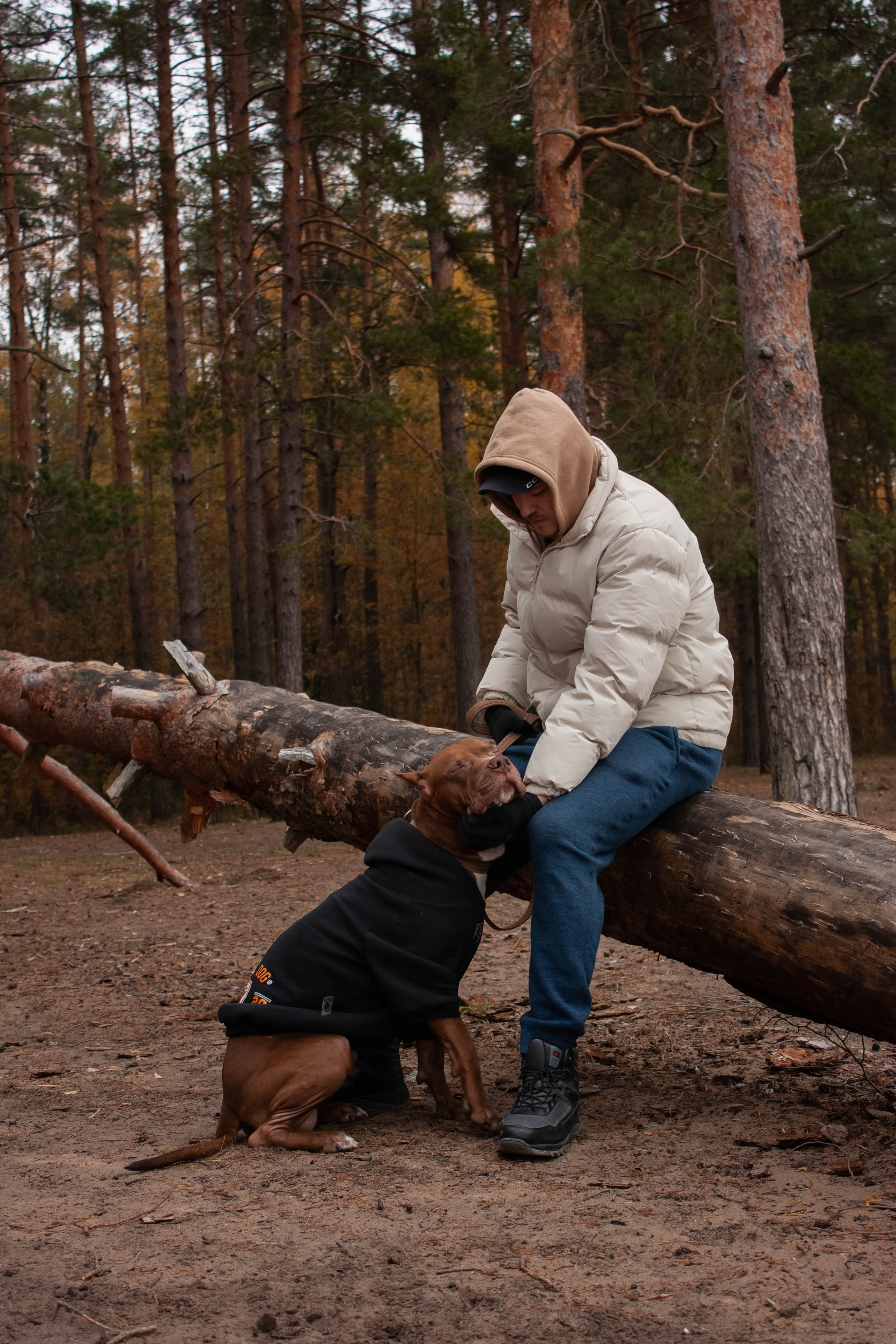 Айрон и Егор. Фотограф-анималист в Санкт-Петербурге Алина Яхонт
