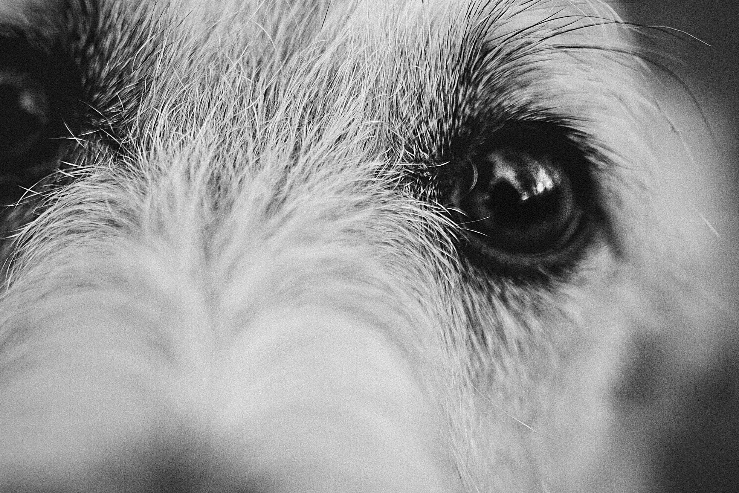 Семейный фотограф в Рязани и Москве Victoria_Kros