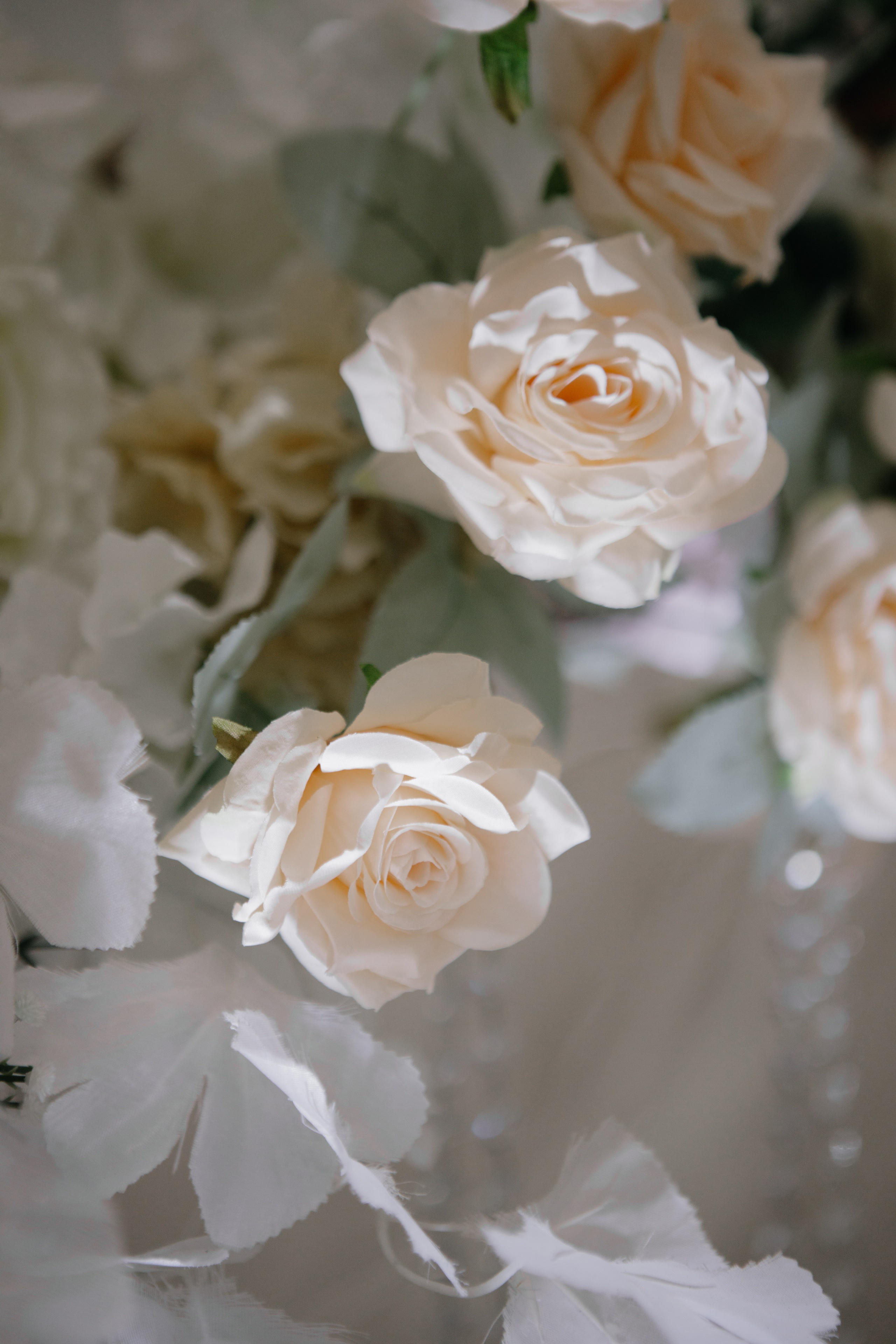 Арман и Галина. Фотограф в Саратове Сабина Иманова