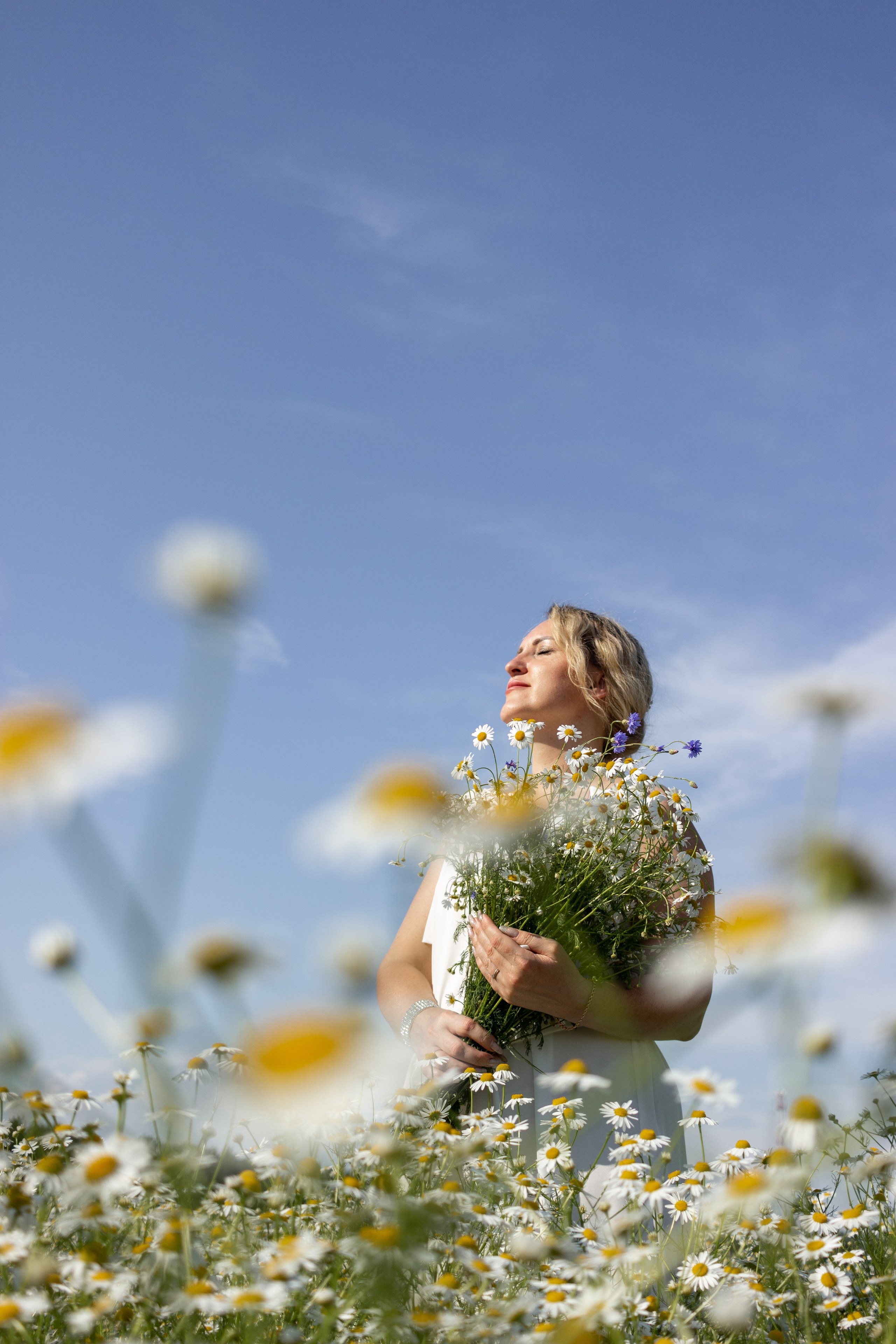 Ромашковое поле. Фотограф в Городце Розова Елена