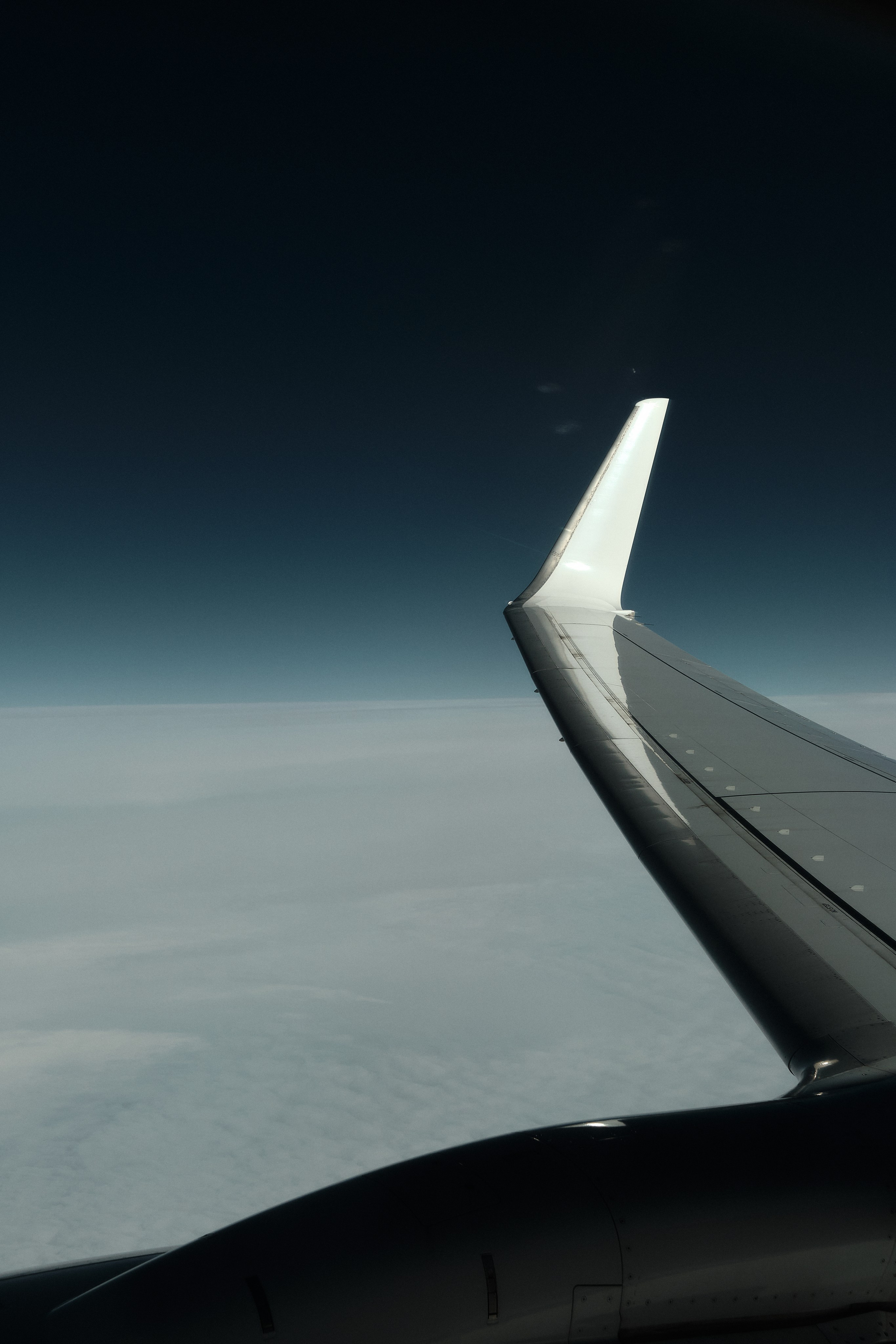 Vienna / Austria. Aleksandr Kobtsev