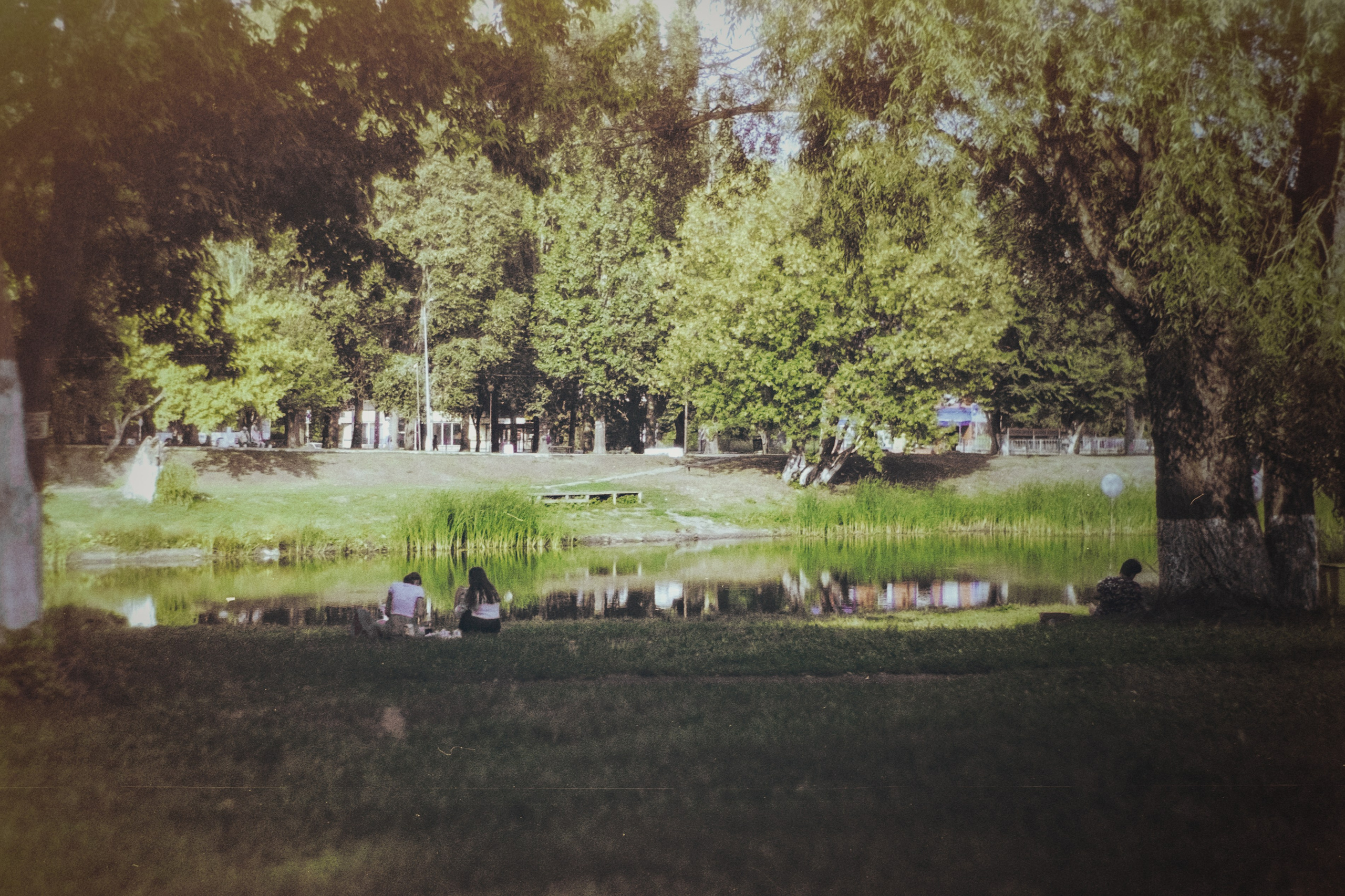 Пленочная история. Дмитрий Пропадалин, Нейрофотография