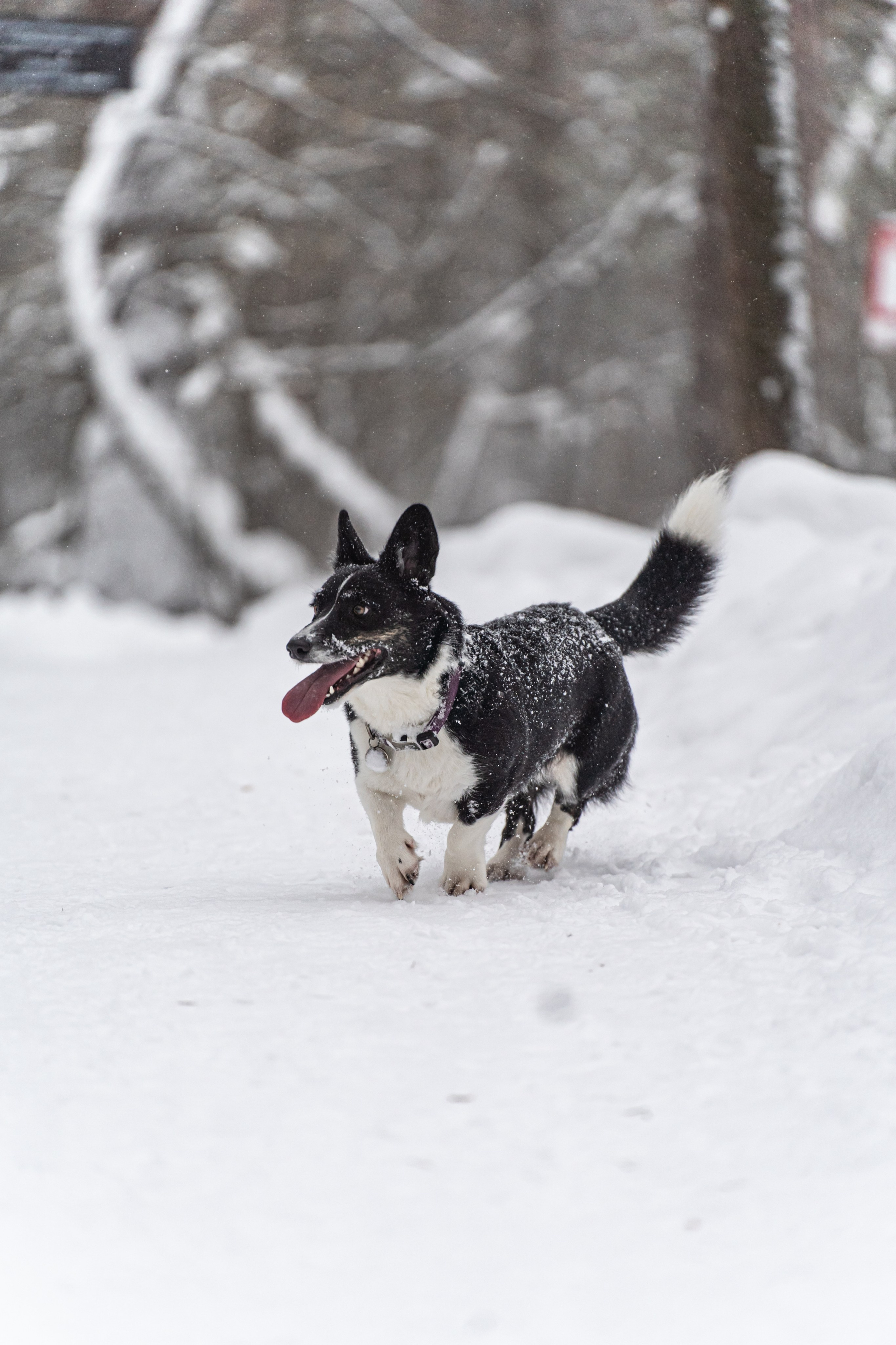 Наташа и Ама. Фотограф в Москве Ленарская Дарья