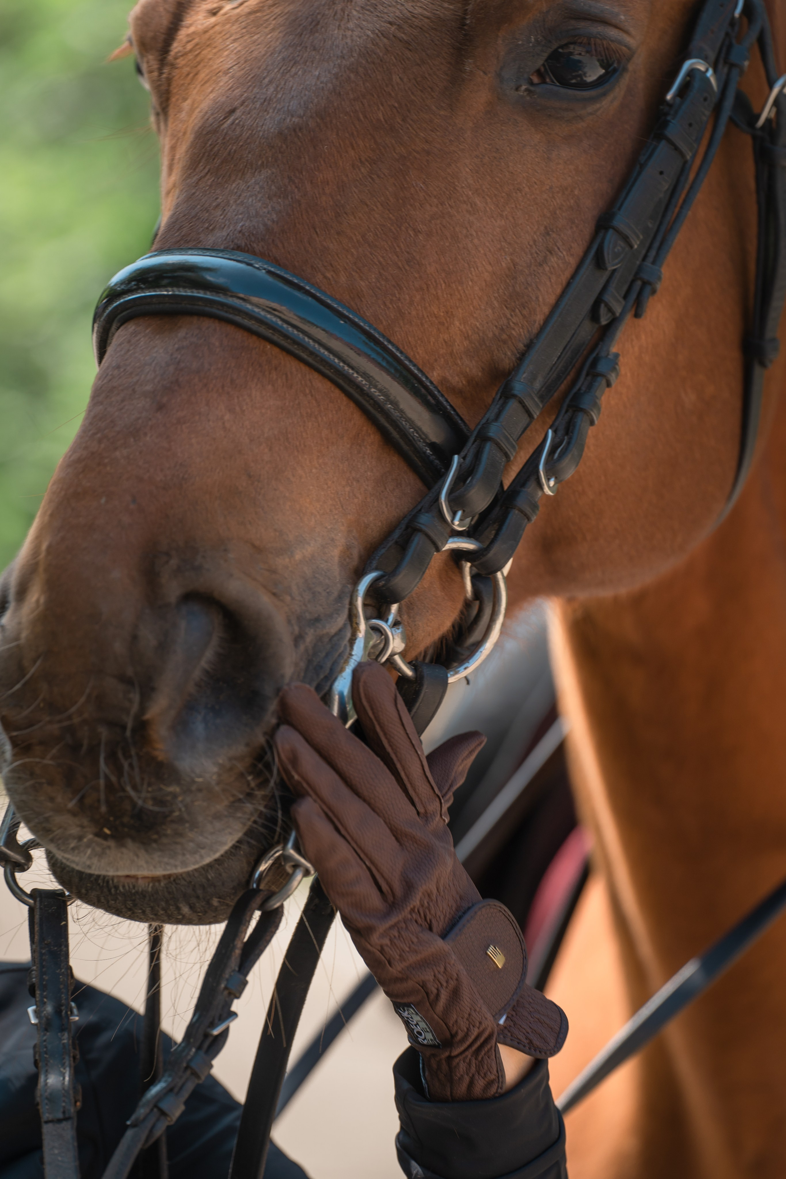 Конный бренд. Фотограф в Москве Ленарская Дарья