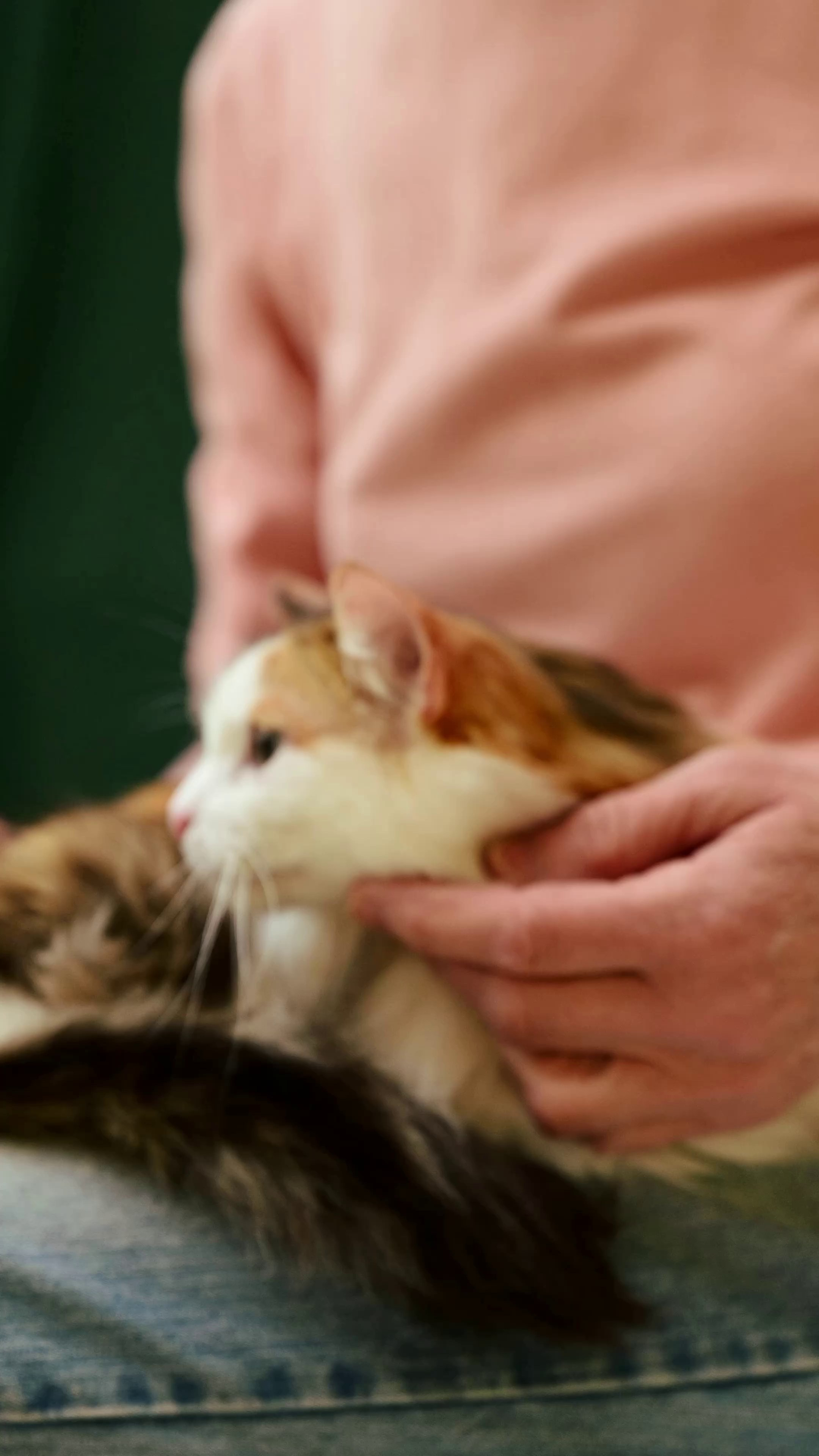 Съёмка для волонтёров (видео). Мила Астахова