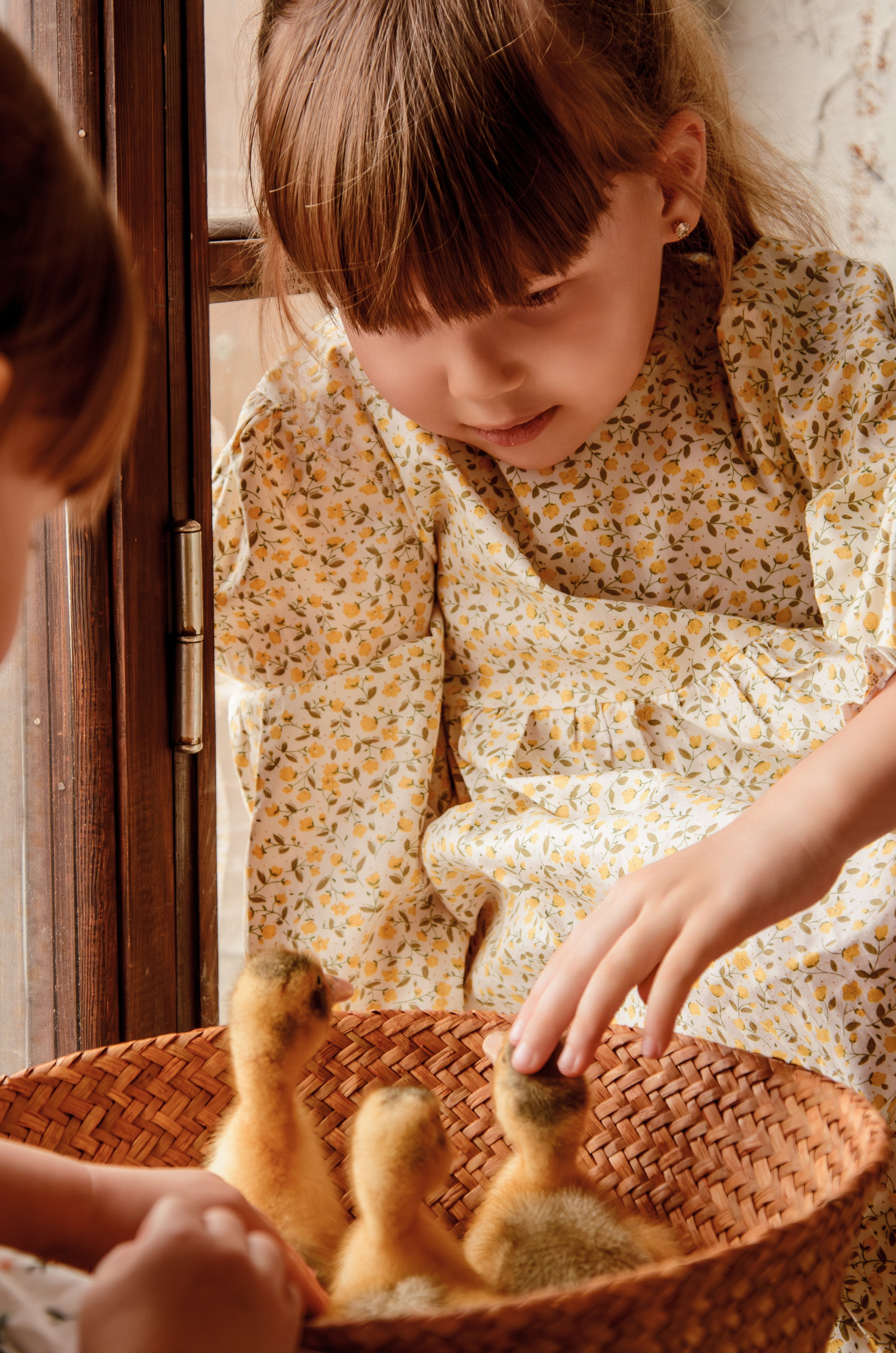 Маленькие кря-кря. Фотографы в Тюмени Андрей и Лидия Войвод