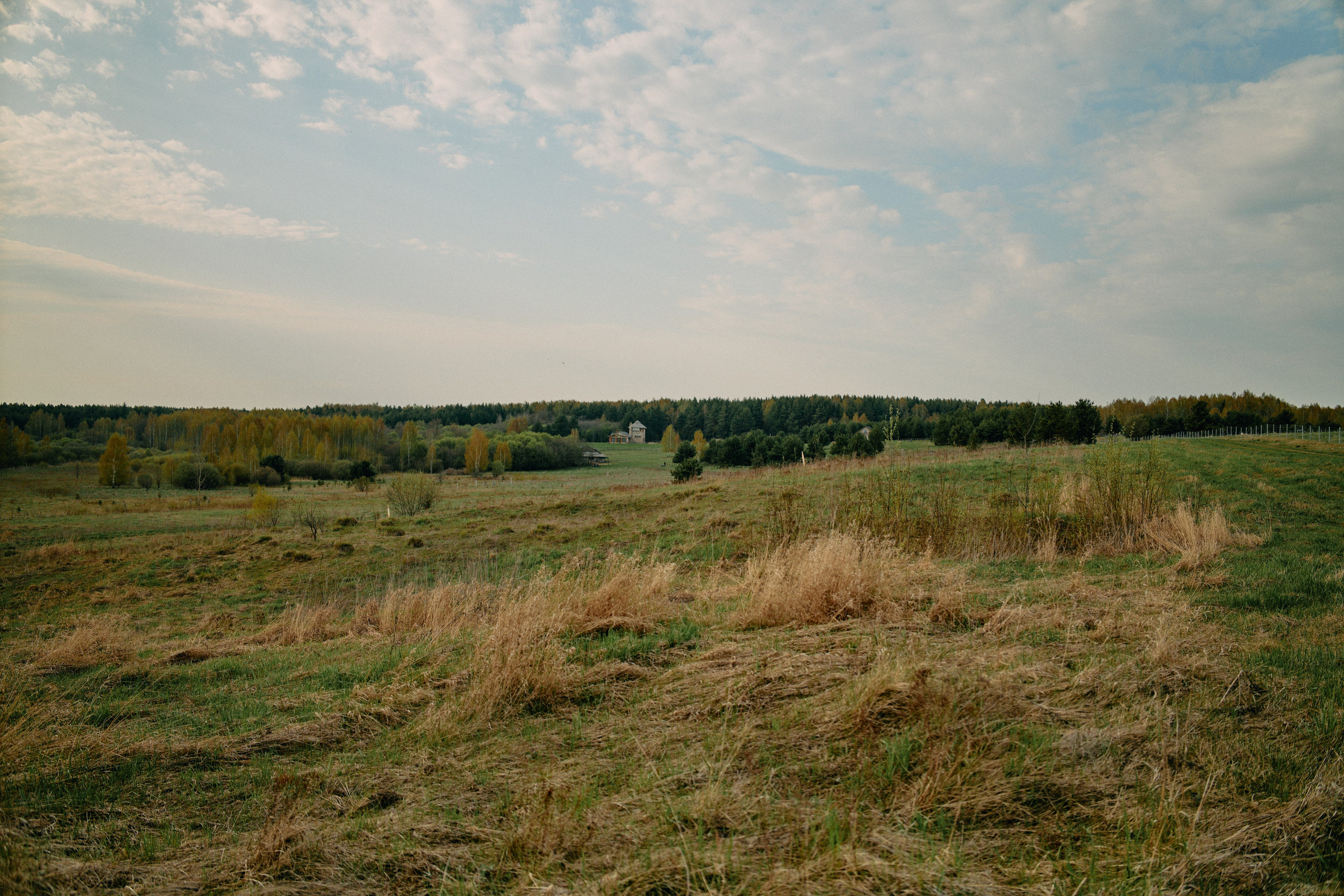 Бутик-отель Поле летом. Профессиональный Фотограф во Владимире, в Москве и в Суздале — Полина Романычева