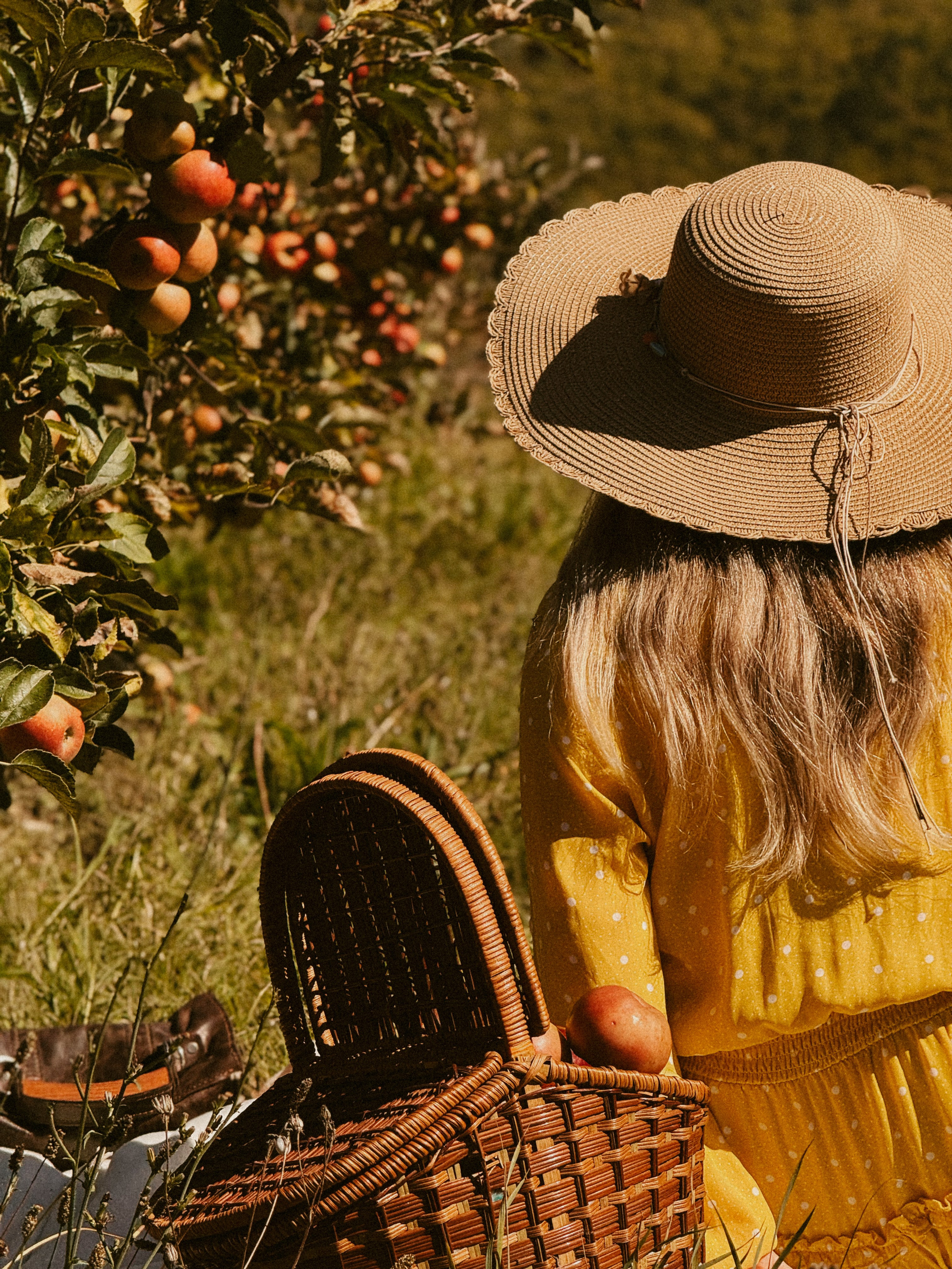 Ксюша Яблоки Сад. Inga Simonova | Семейный и детский фотограф у моря