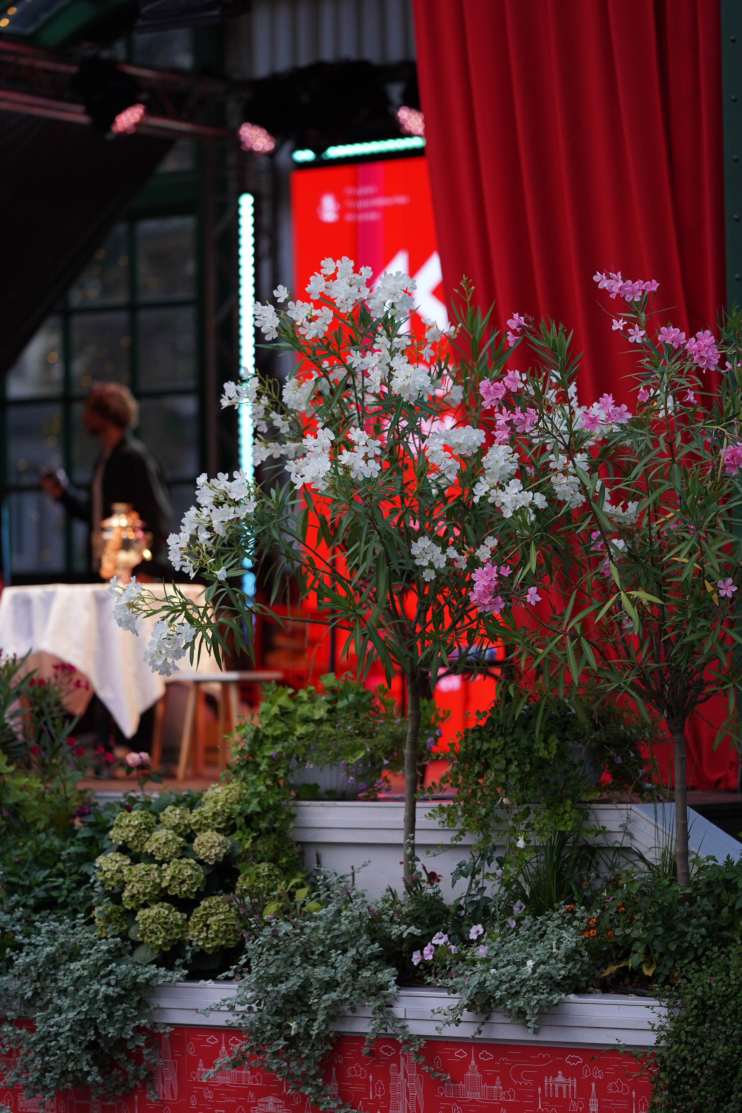 Московское чаепитие. Московские сезоны. Фотограф в Москве Мария ~Zagagul~