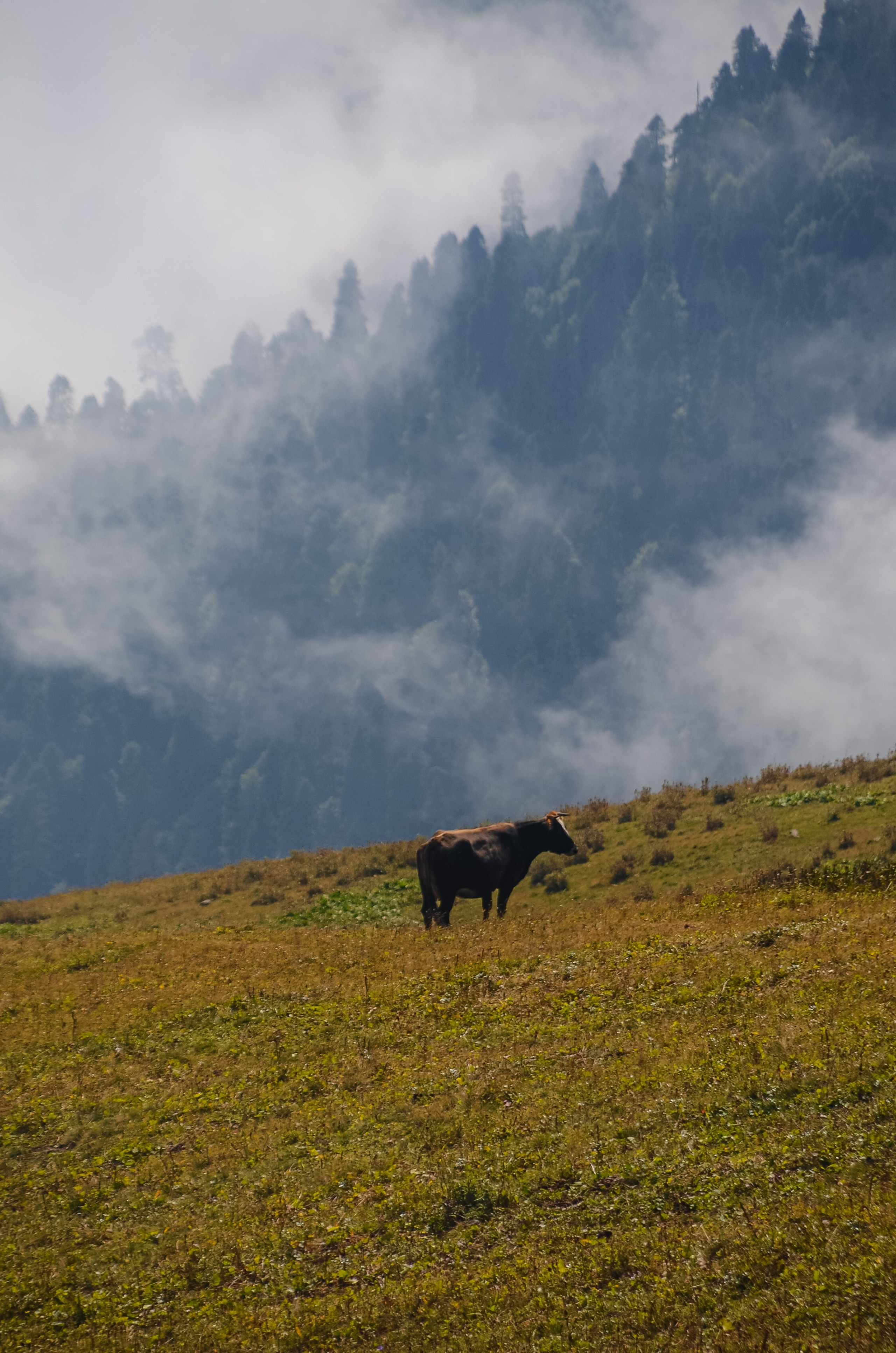 World. Фотограф в Санкт-Петербурге