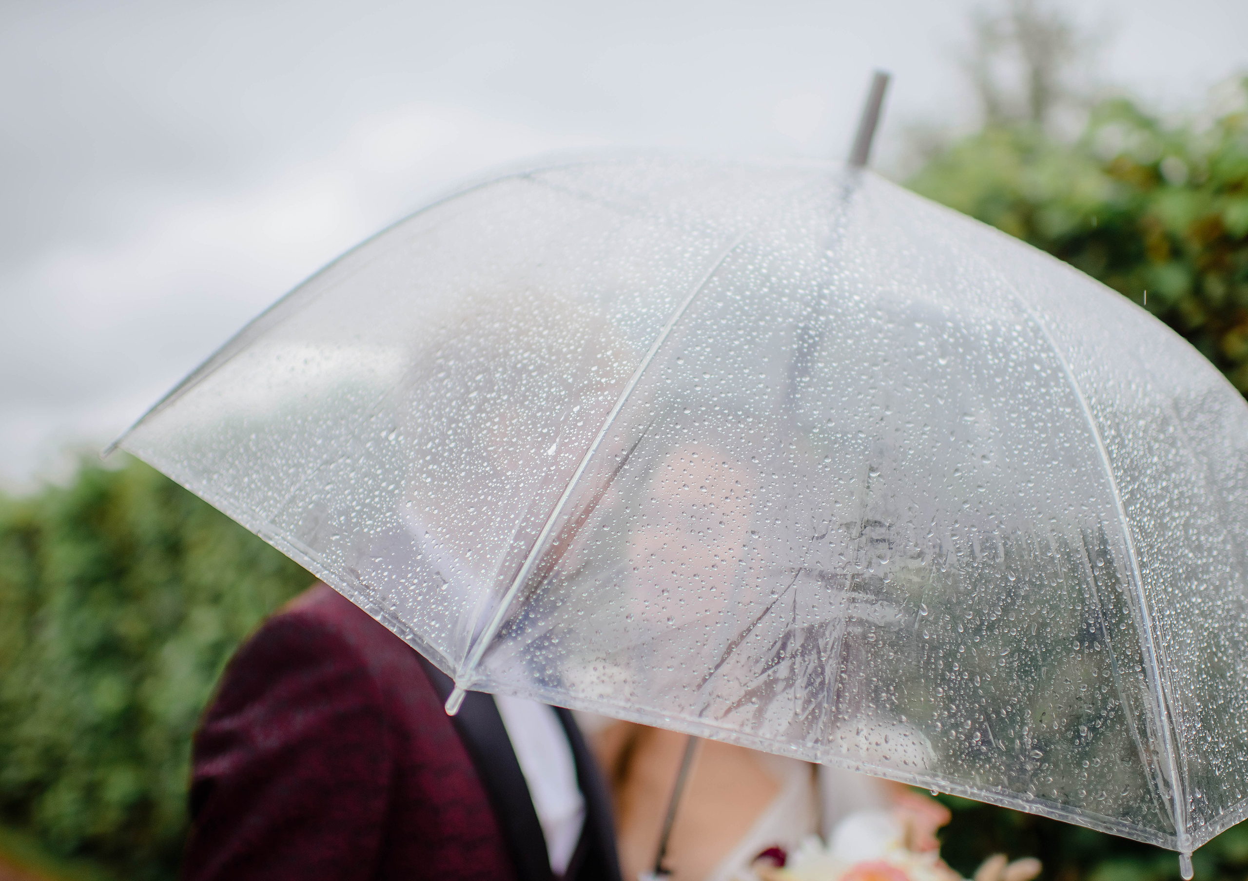 Kuskovo. Свадебный и семейный фотограф в г. Москва Ирина Гаврилова