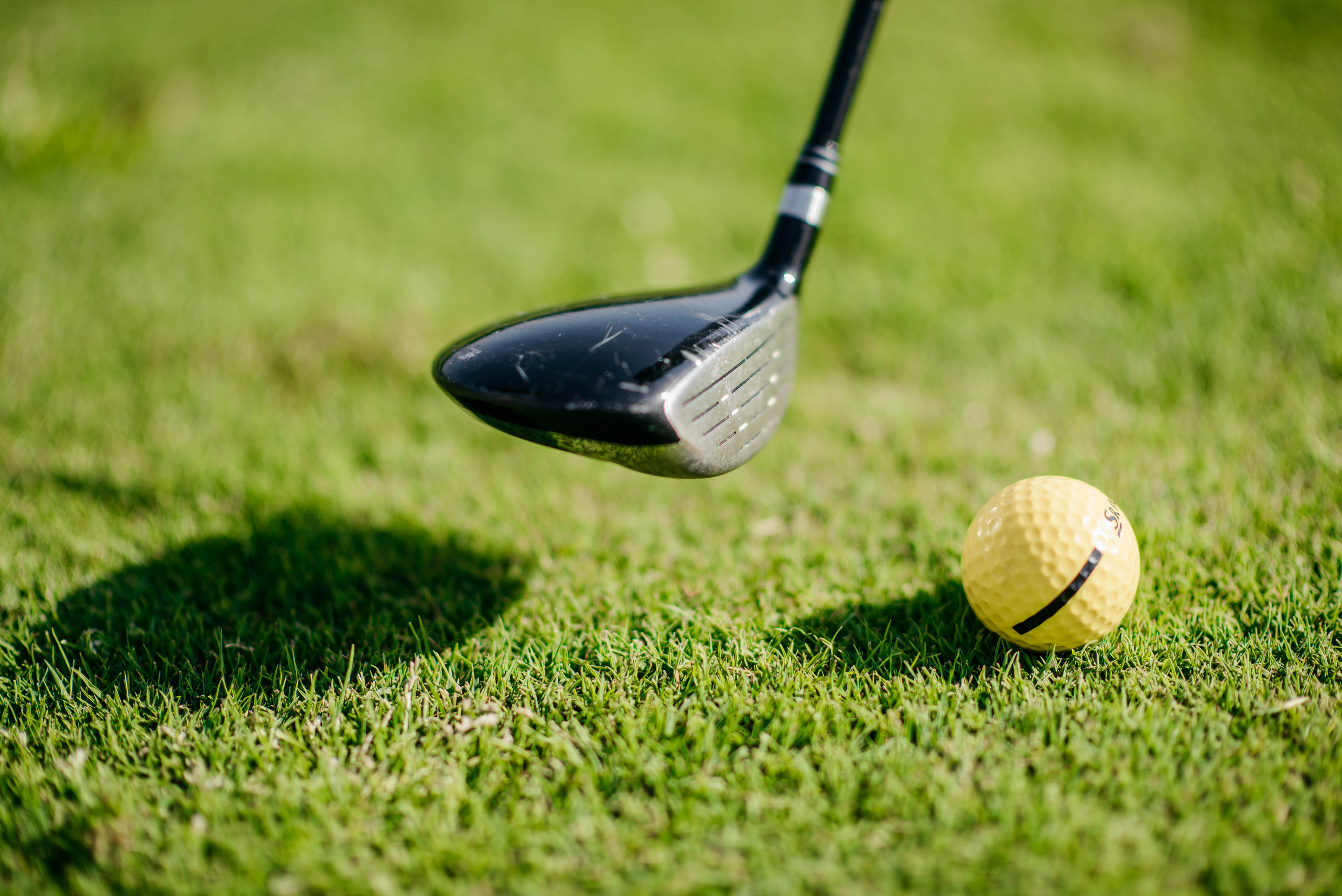 Forest Hill Golf Club. Свадебный и семейный фотограф в г. Москва Ирина Гаврилова