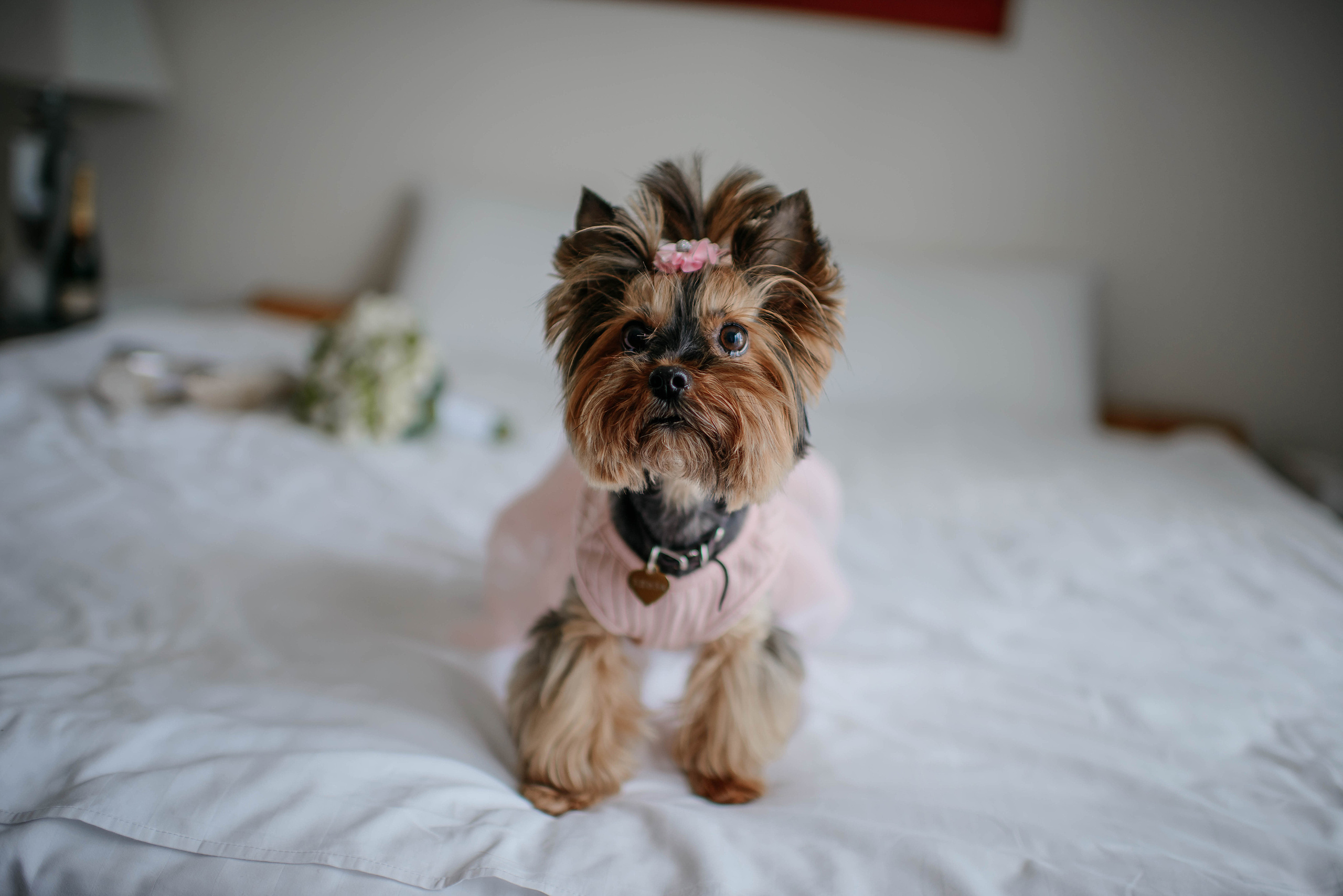 Moscow City. Свадебный и семейный фотограф в г. Москва Ирина Гаврилова